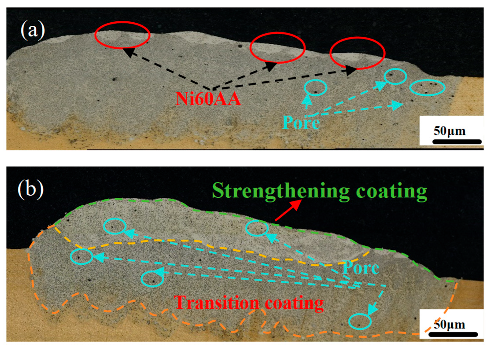 Coatings 15 01300 g006 Coatings 15 01300 g006