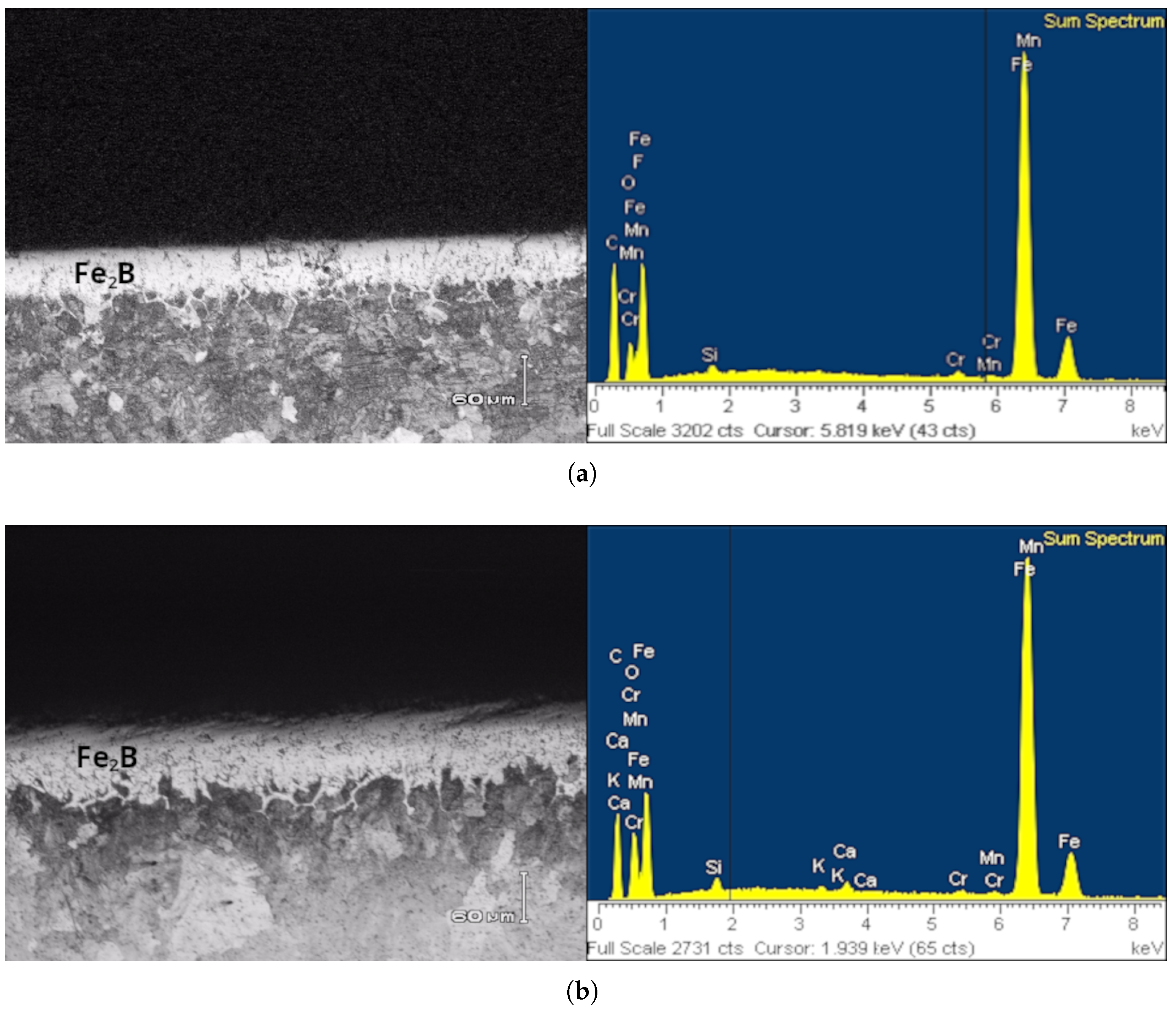 Coatings 15 01301 g004a