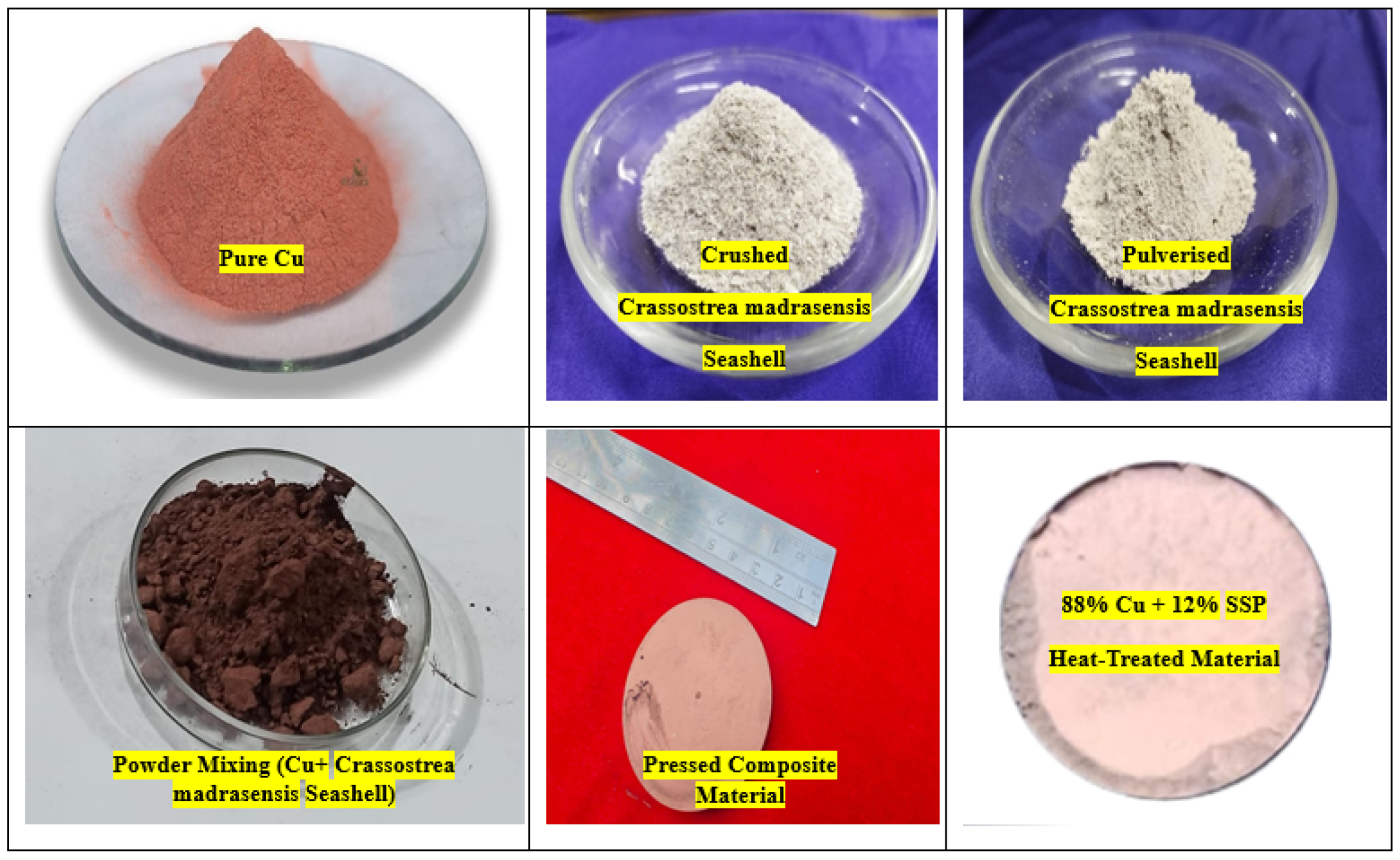 Coatings 15 01303 g002 Coatings 15 01303 g002