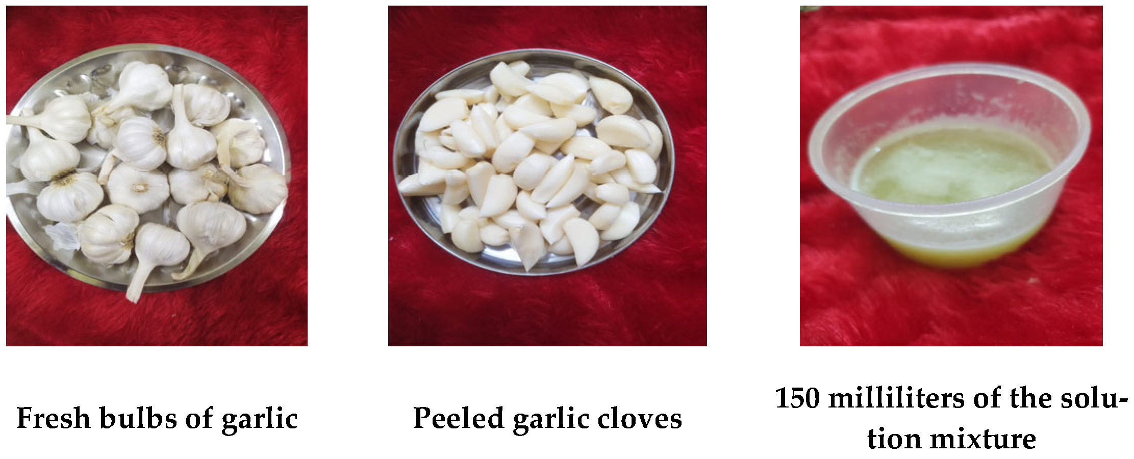 Coatings 15 01303 g003 Coatings 15 01303 g003