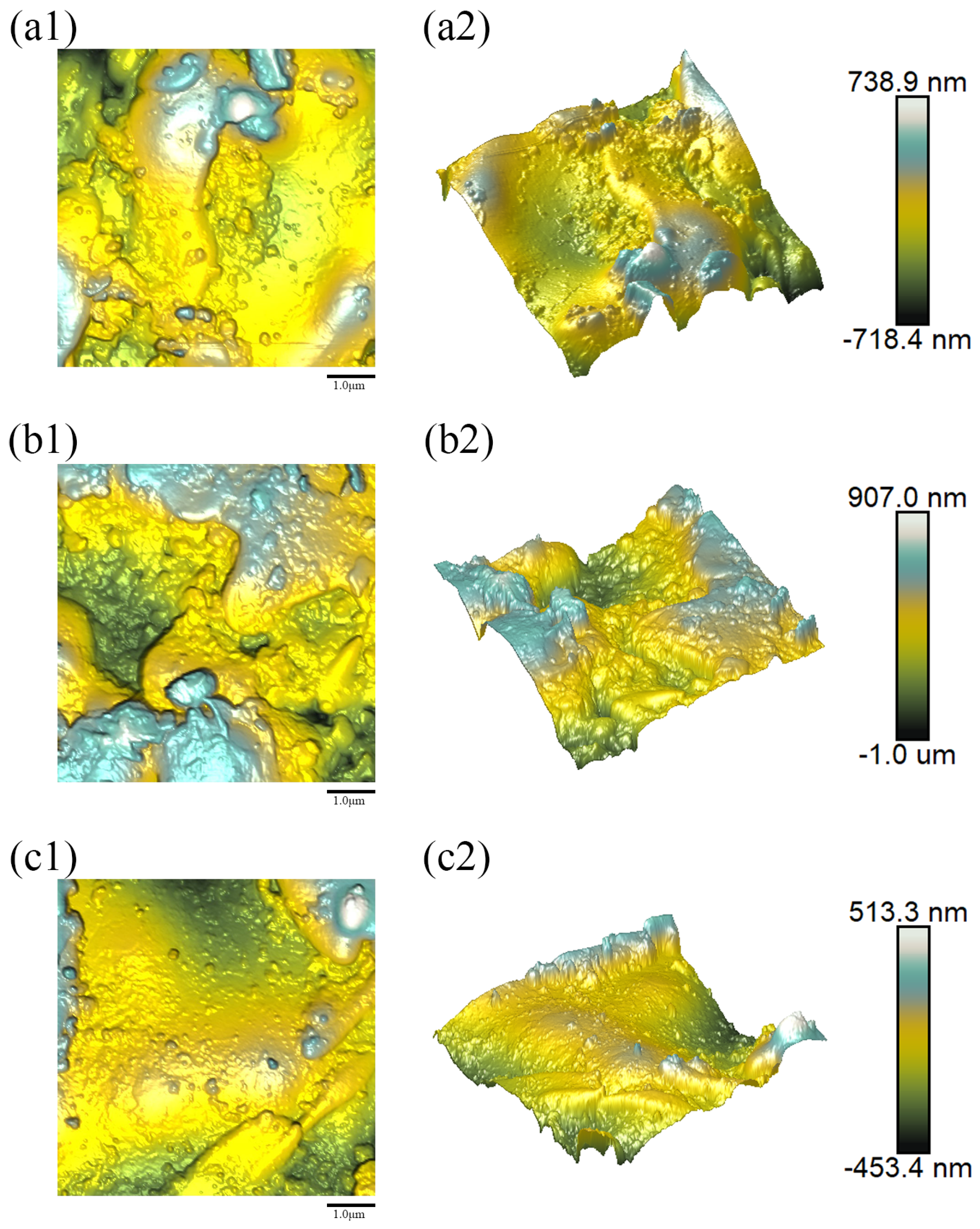 Coatings 15 01304 g008
