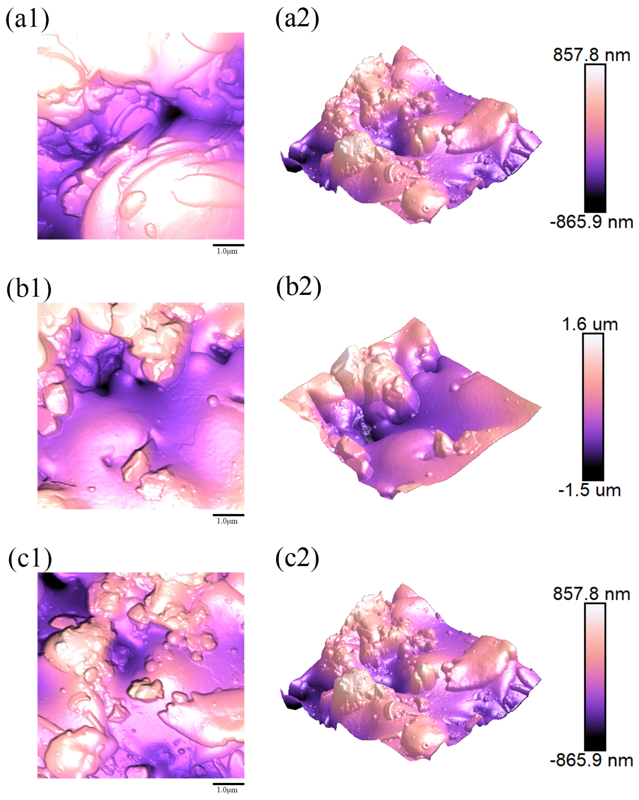 Coatings 15 01304 g009