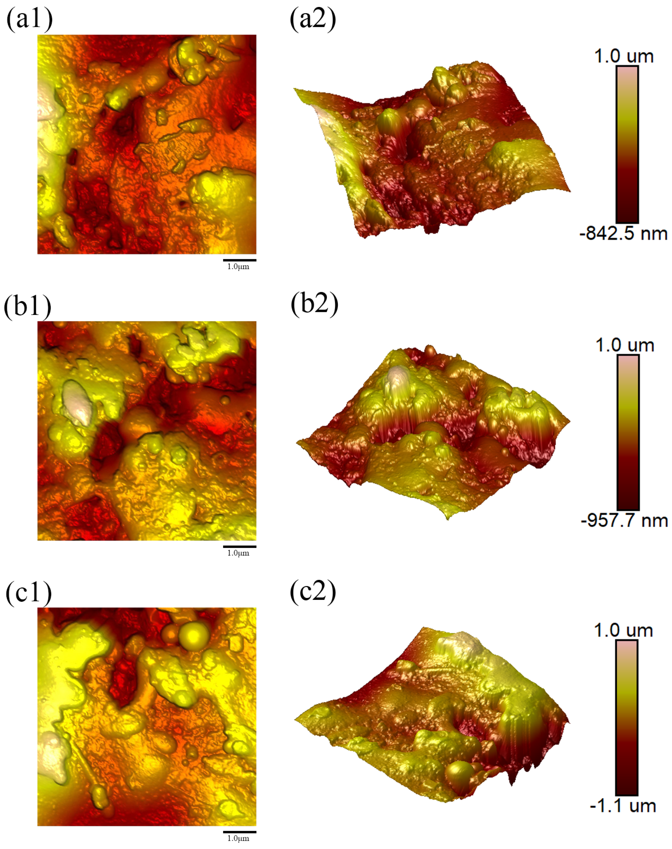 Coatings 15 01304 g010