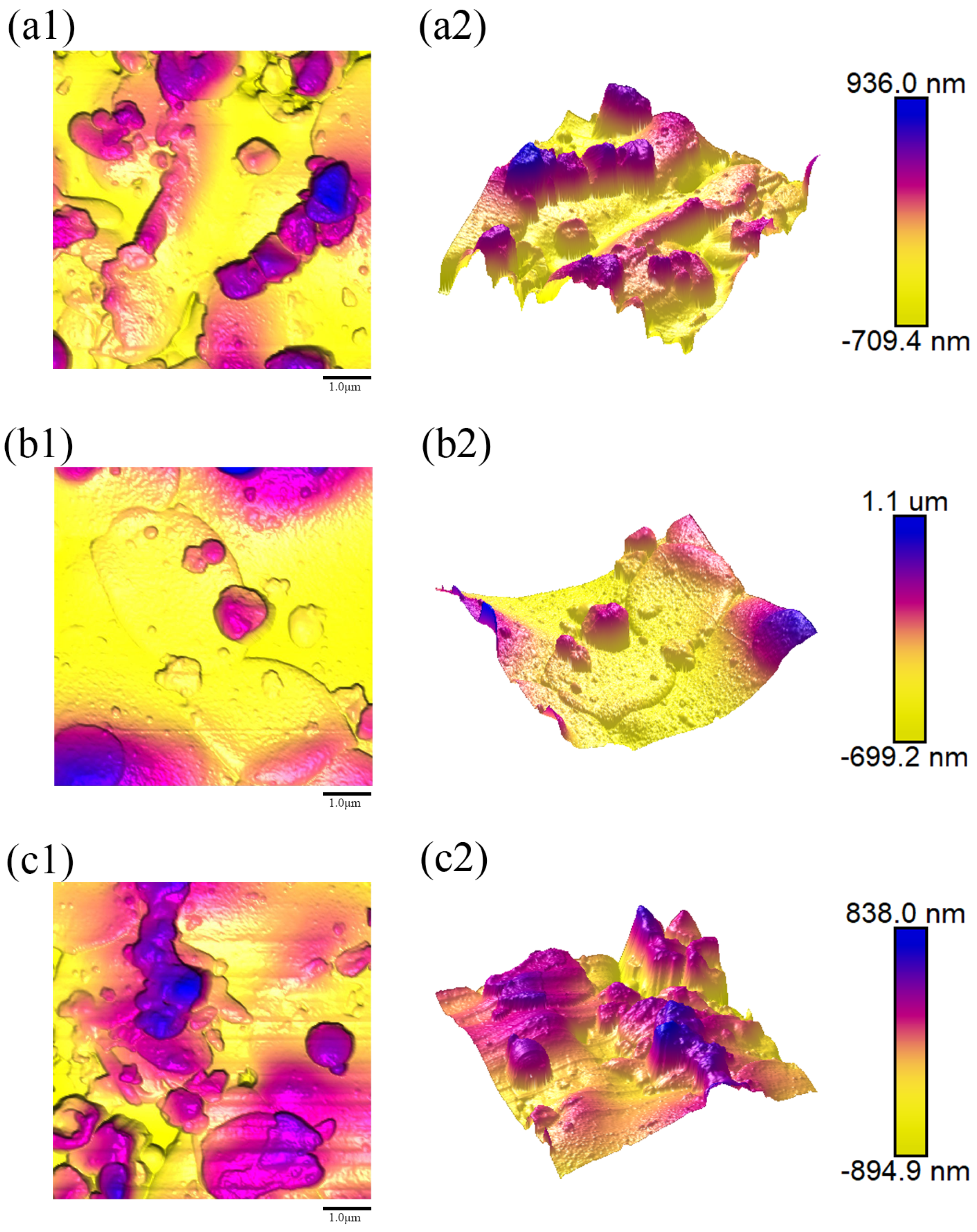 Coatings 15 01304 g012