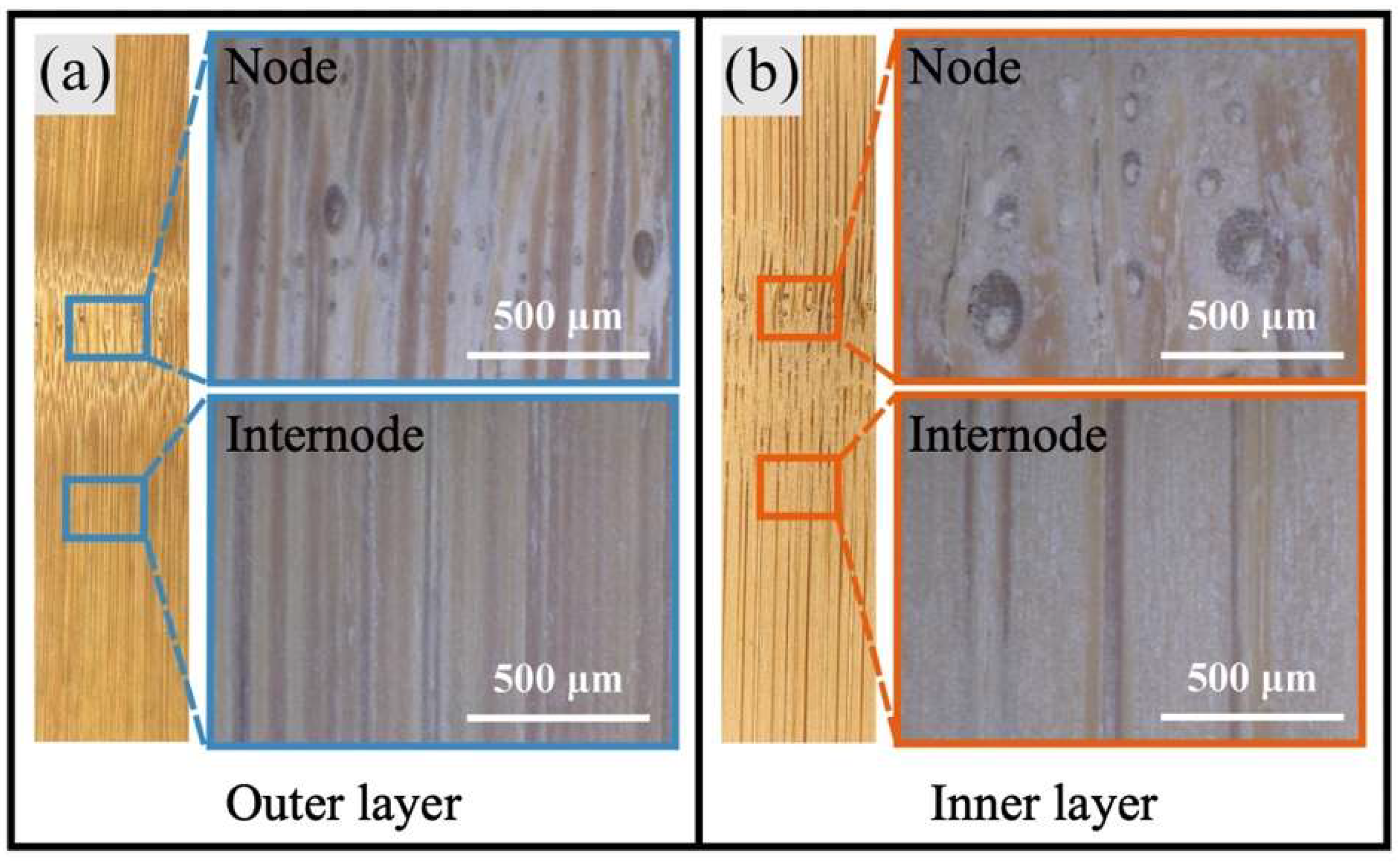 Coatings 15 01307 g002