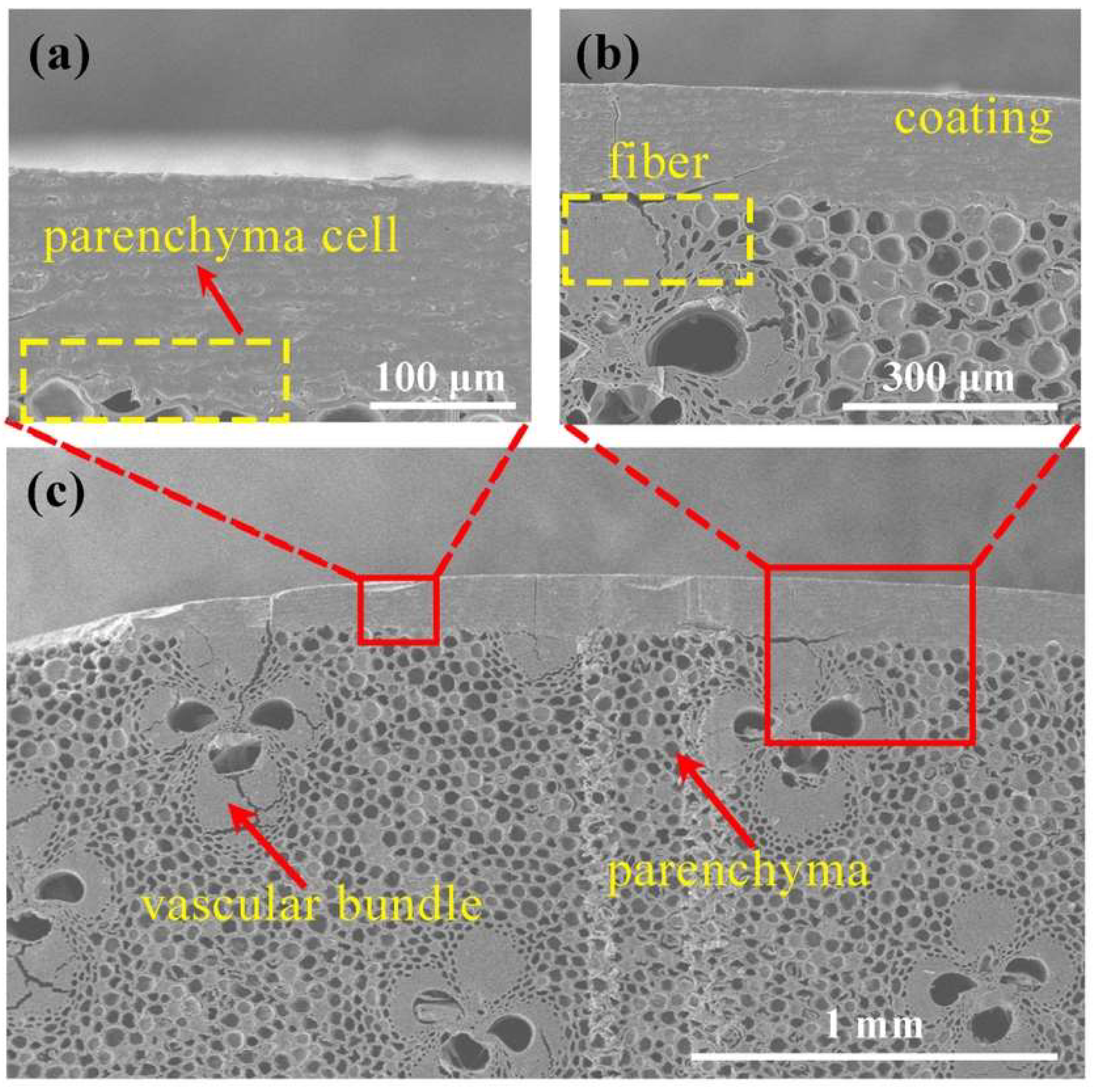 Coatings 15 01307 g009
