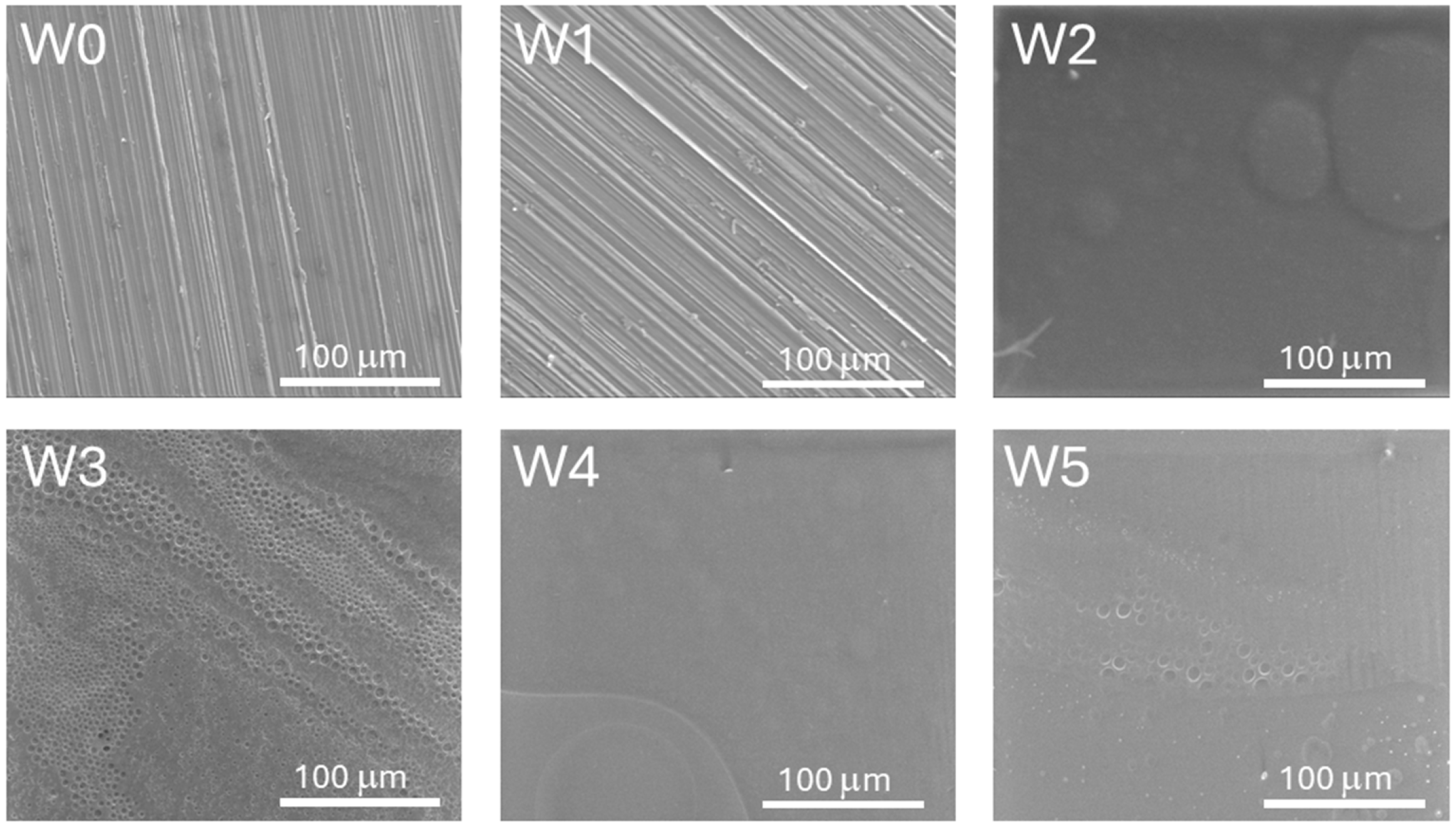 Coatings 15 01309 g003