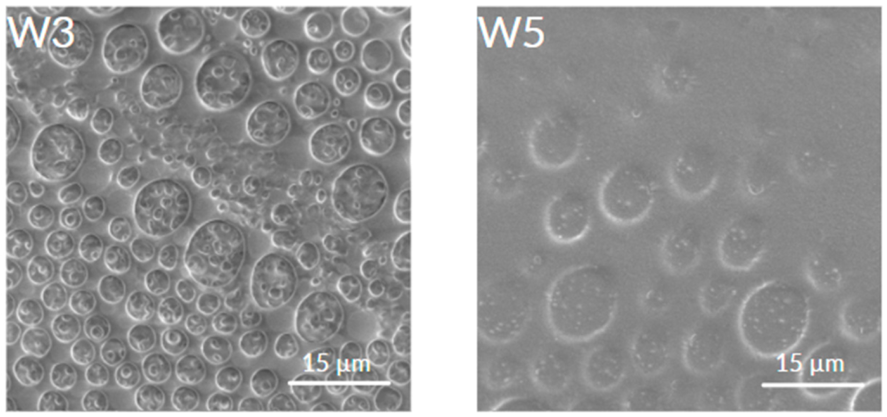 Coatings 15 01309 g004