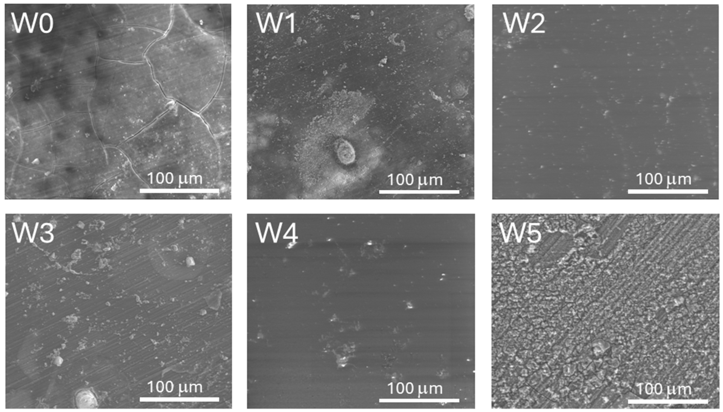 Coatings 15 01309 g008
