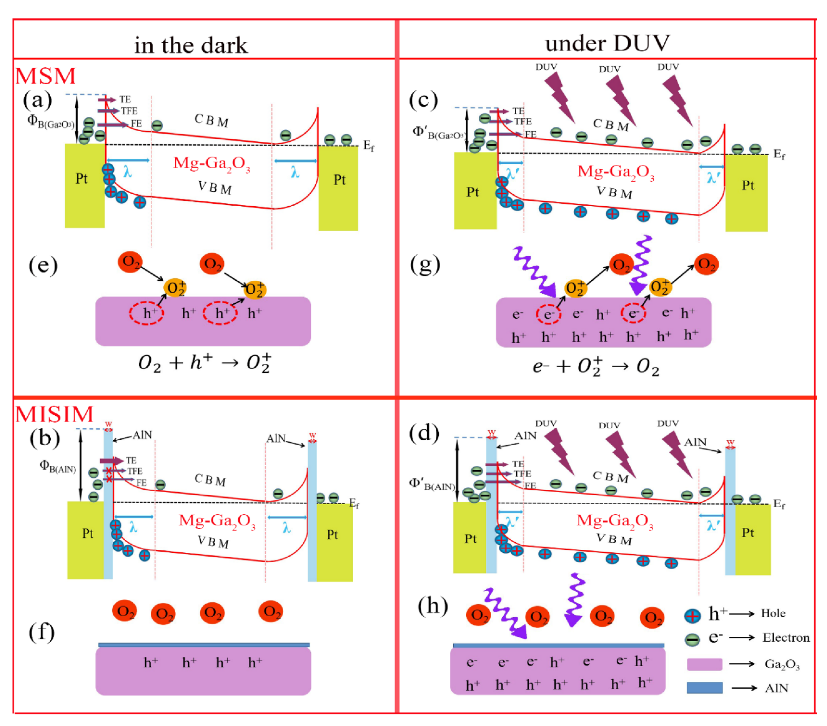 Coatings 15 01312 g008