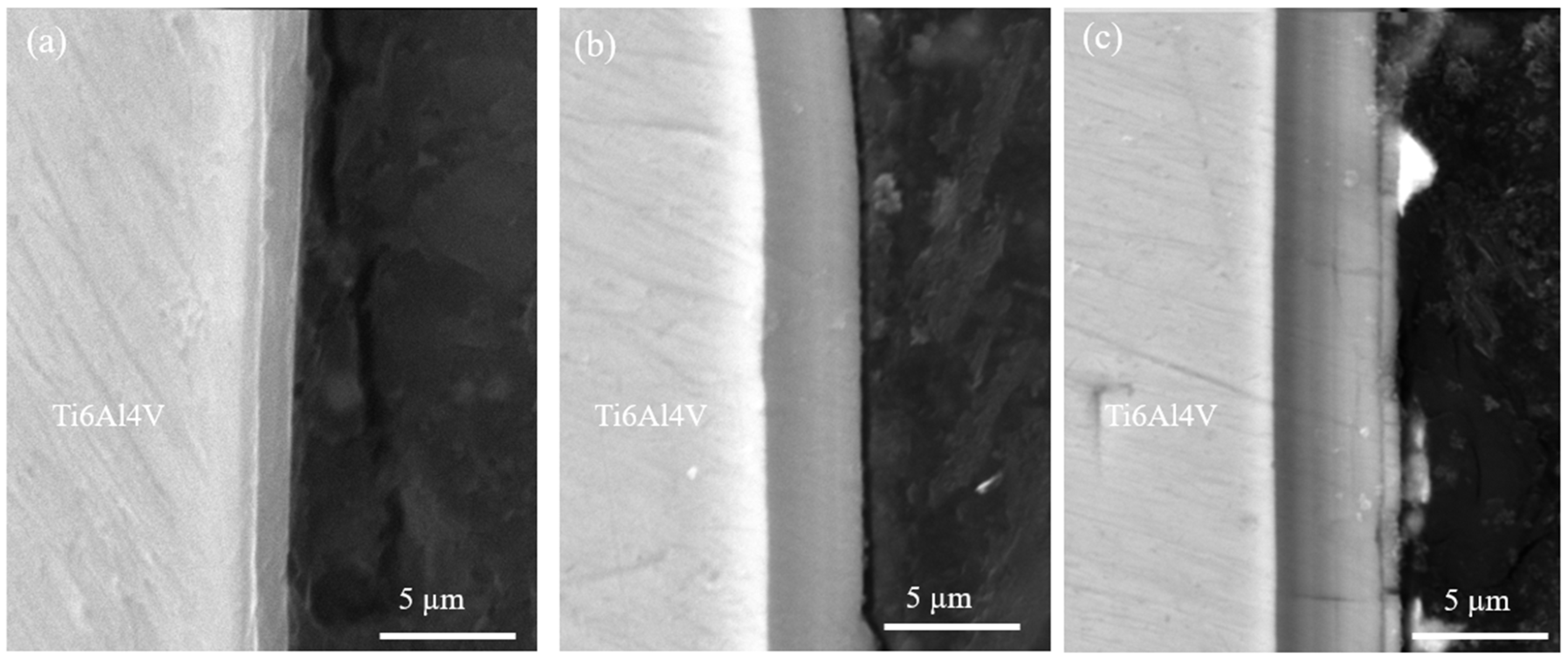 Coatings 15 01313 g002