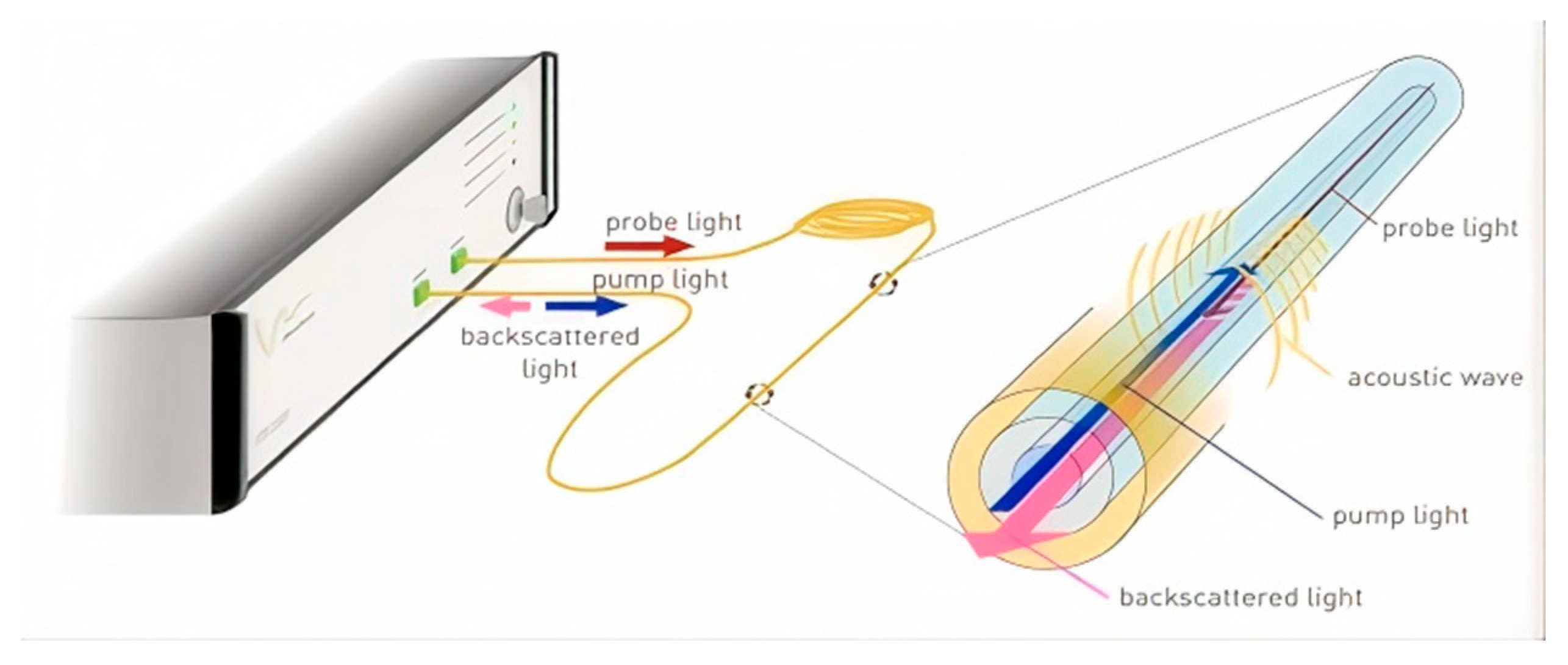 Coatings 15 01317 g010