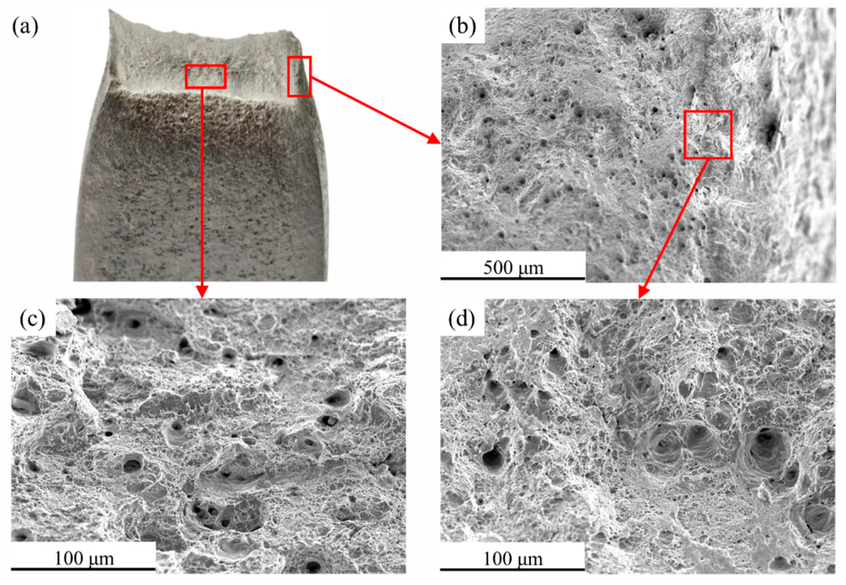 Coatings 15 01318 g011