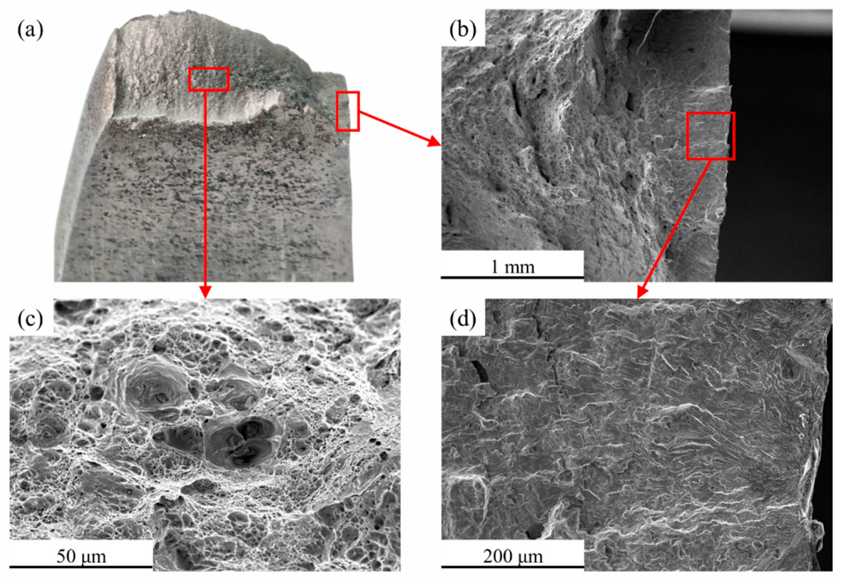 Coatings 15 01318 g015
