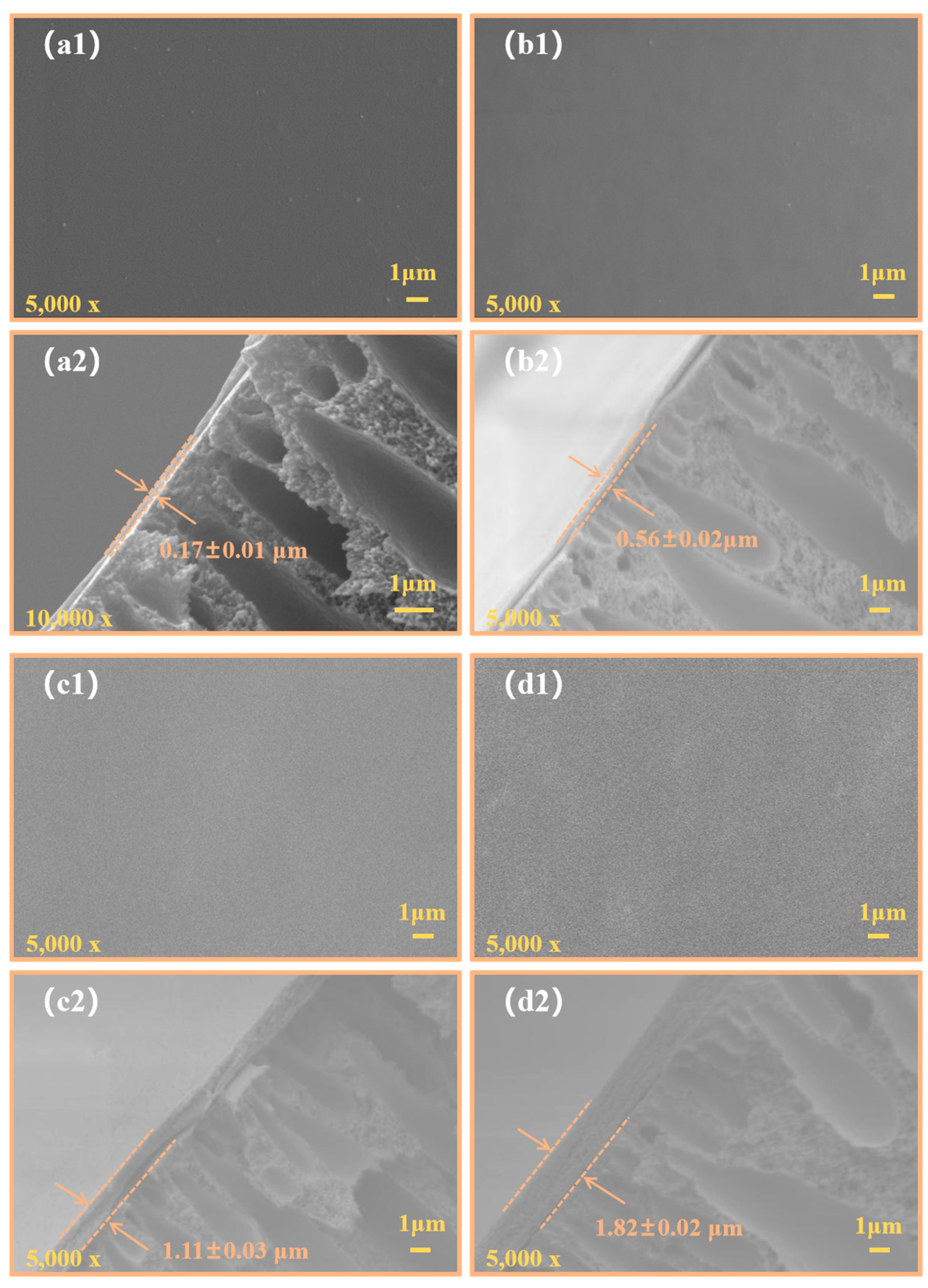 Coatings 15 01319 g006