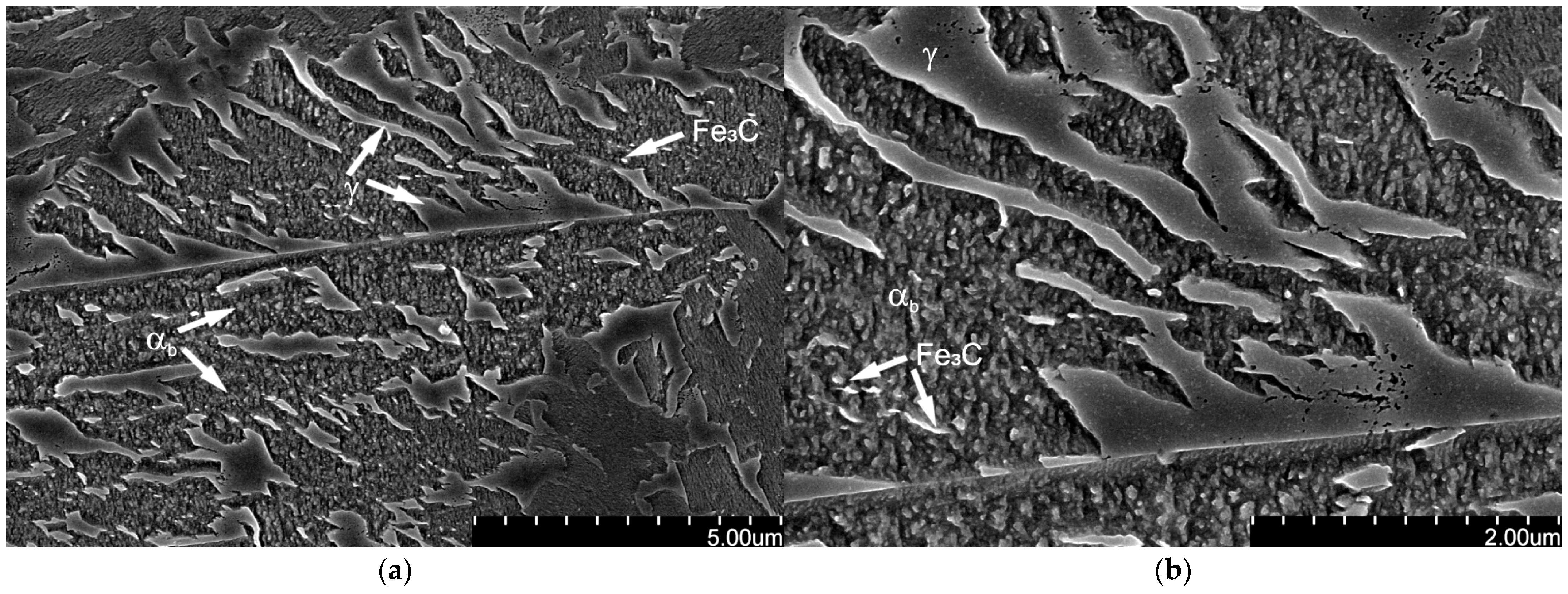 Coatings 15 01321 g005