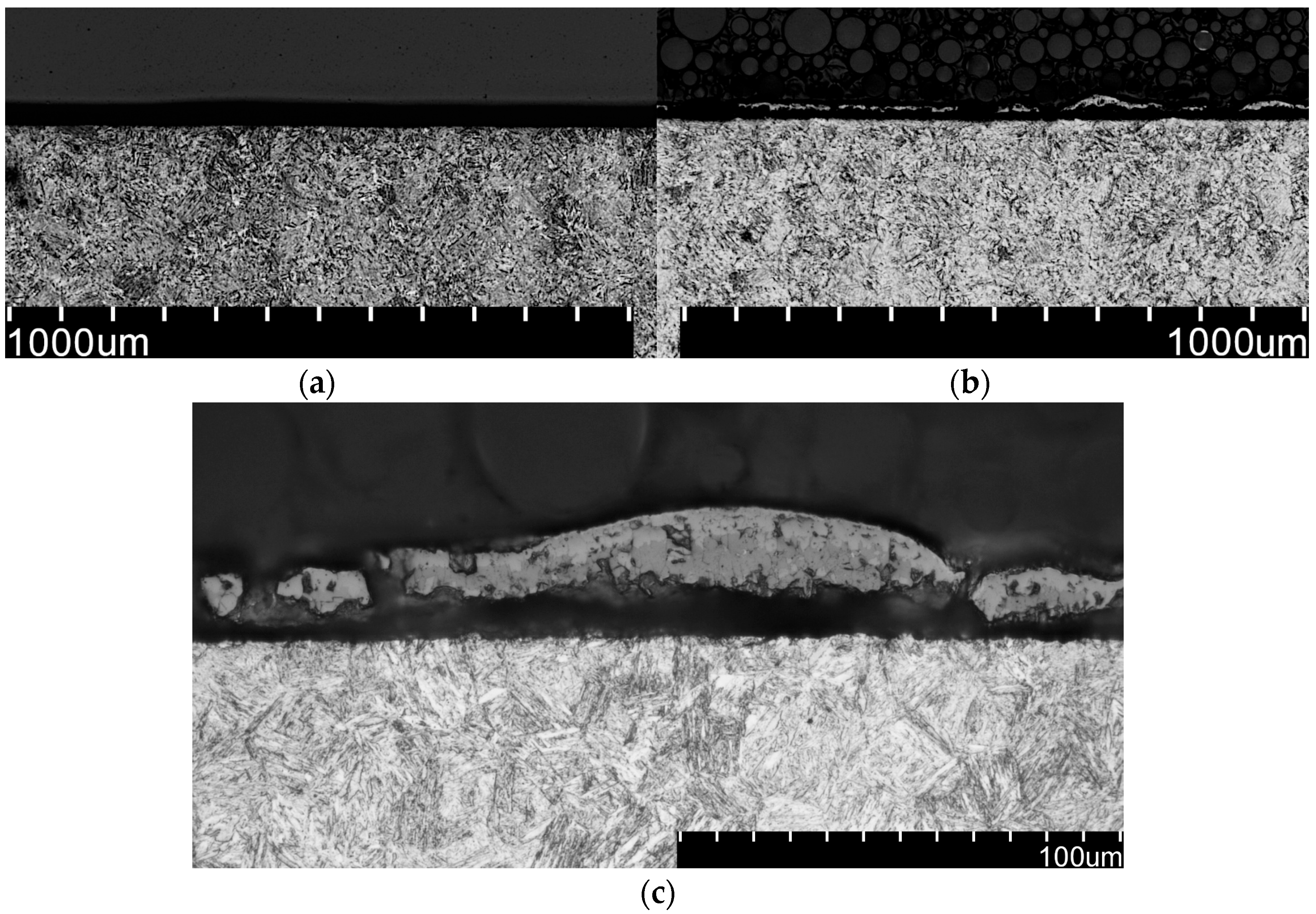 Coatings 15 01321 g006