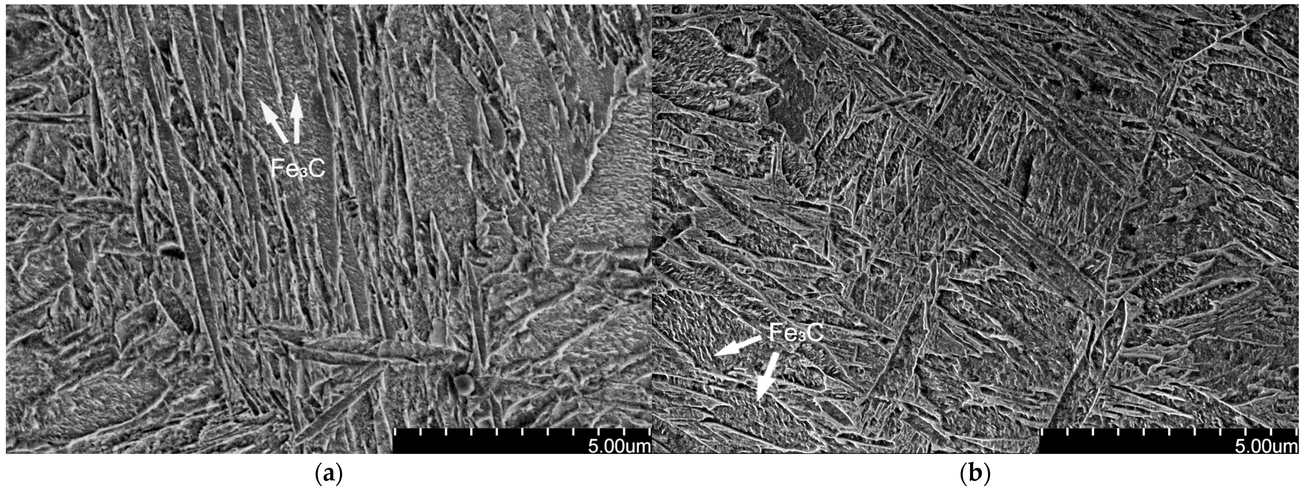 Coatings 15 01321 g007