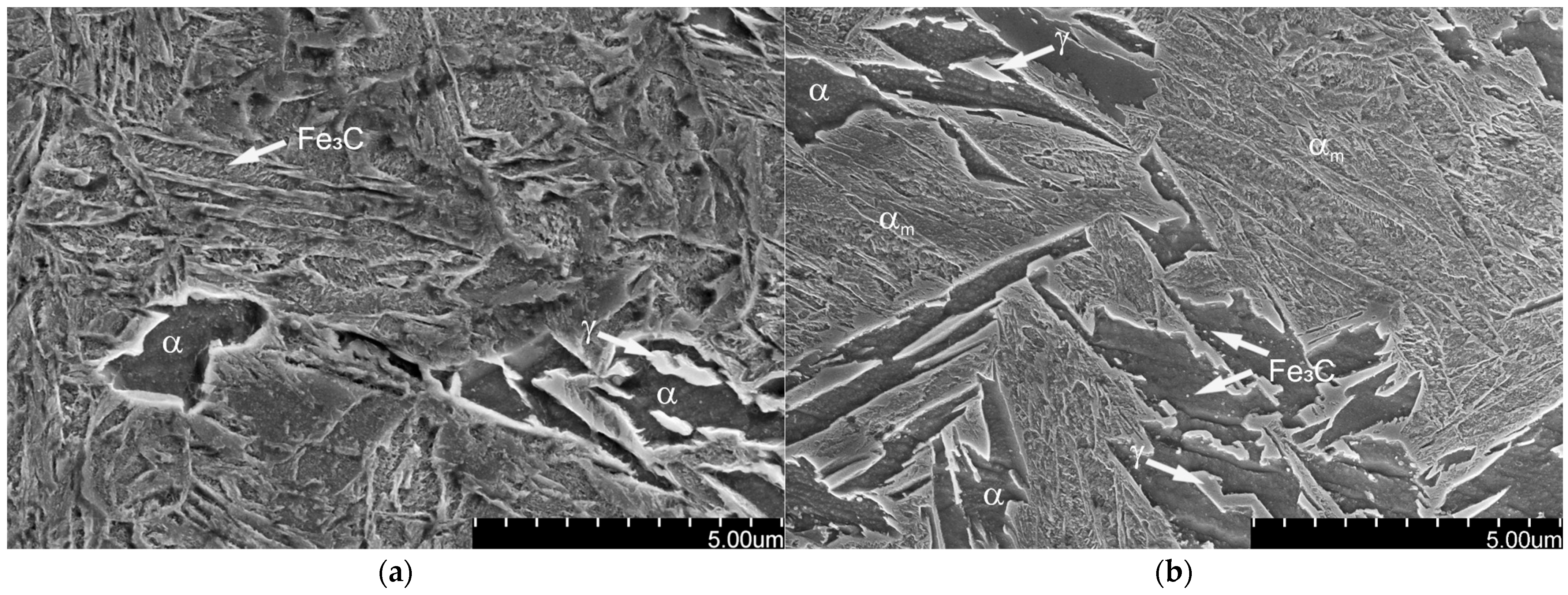 Coatings 15 01321 g008