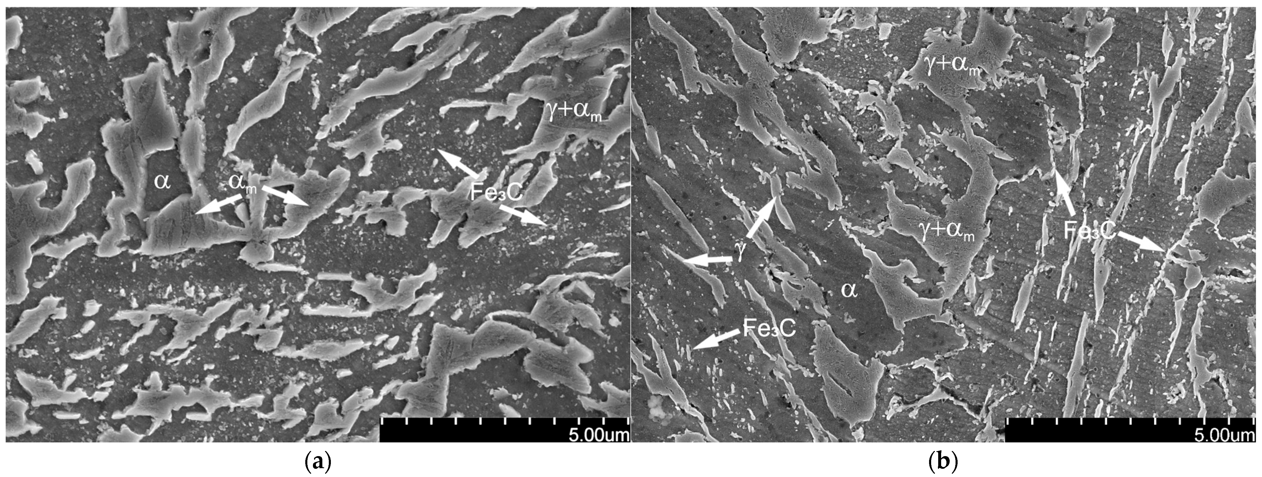 Coatings 15 01321 g009
