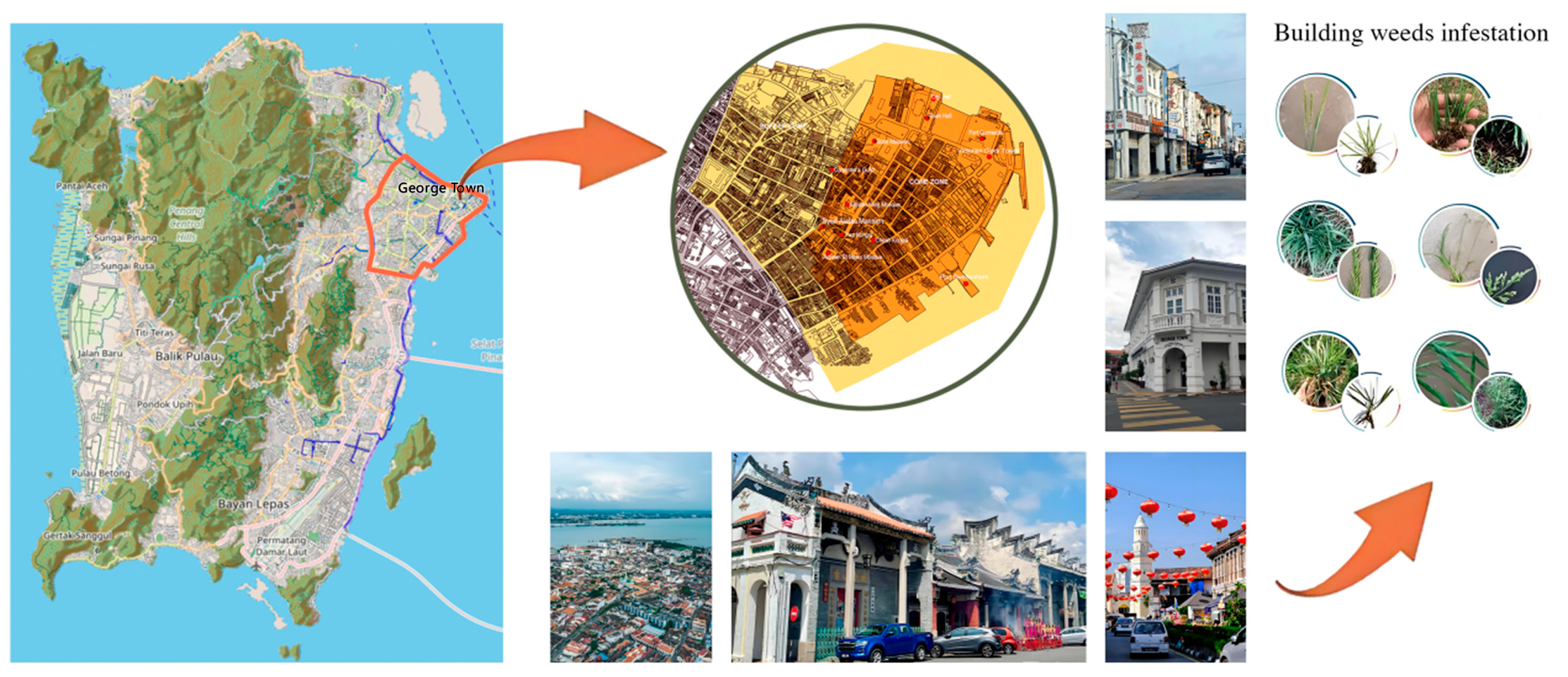 Coatings 15 01322 g001