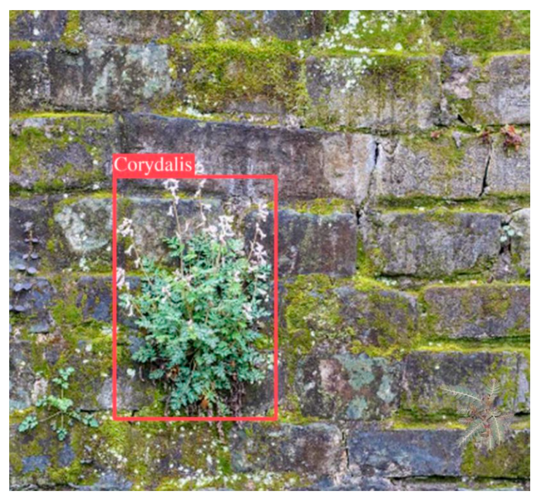 Coatings 15 01322 g013