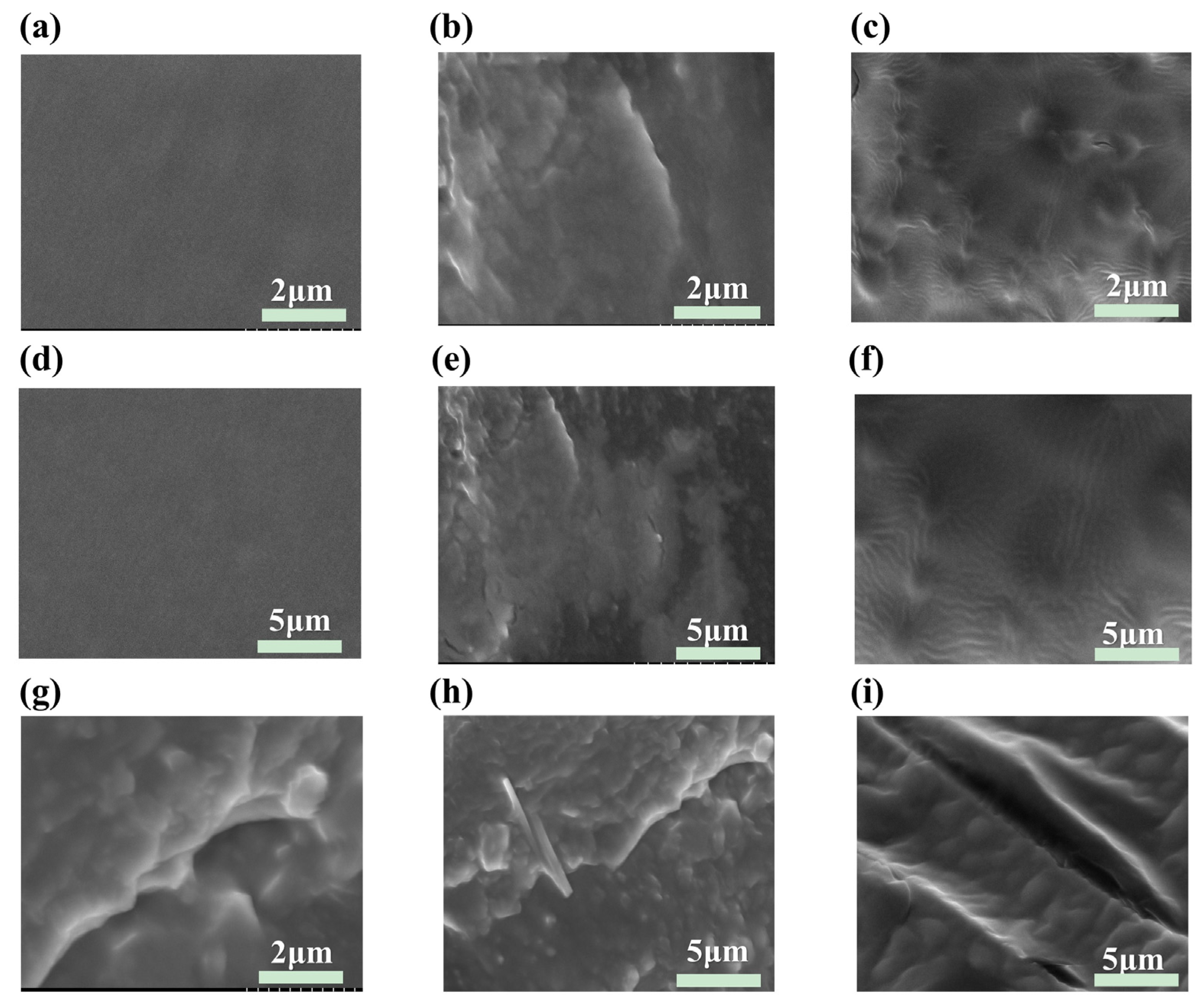 Coatings 15 01323 g002