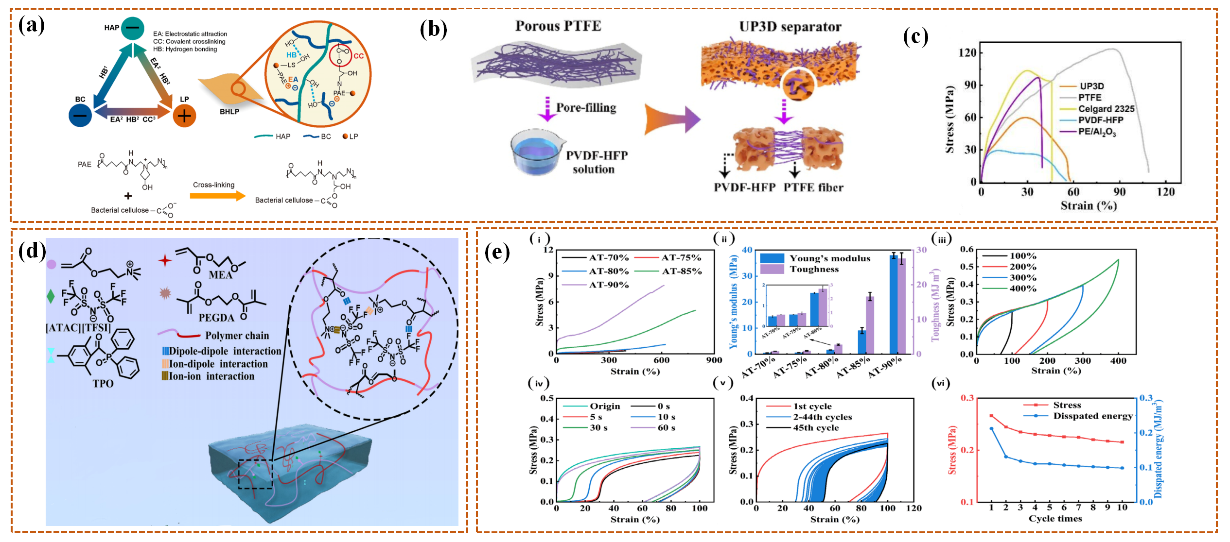 Coatings 15 01325 g010