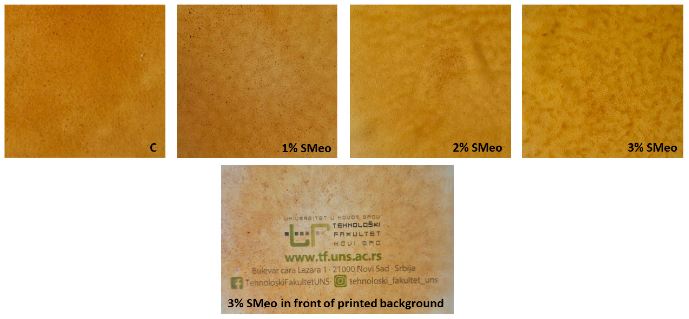 Coatings 15 01327 g002 Coatings 15 01327 g002