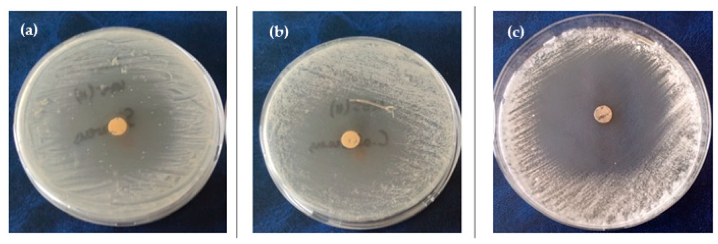 Coatings 15 01327 g006 Coatings 15 01327 g006