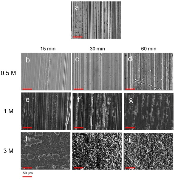 Coatings 15 01328 g001