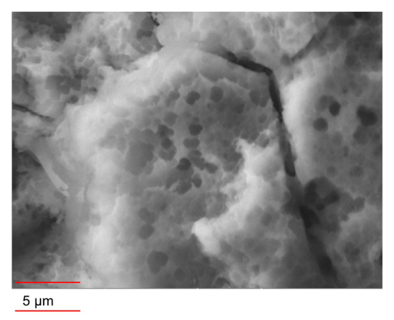 Coatings 15 01328 g002