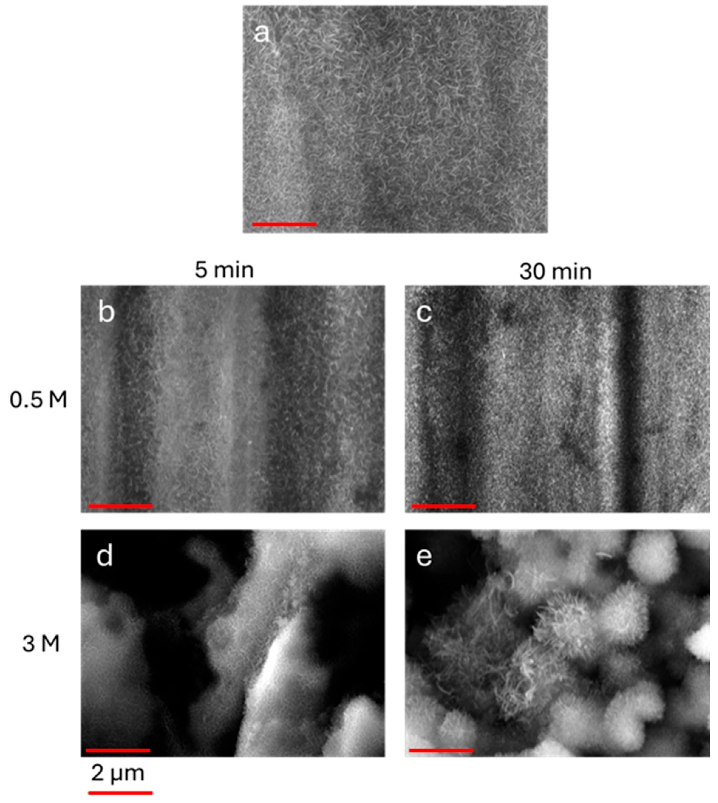 Coatings 15 01328 g004