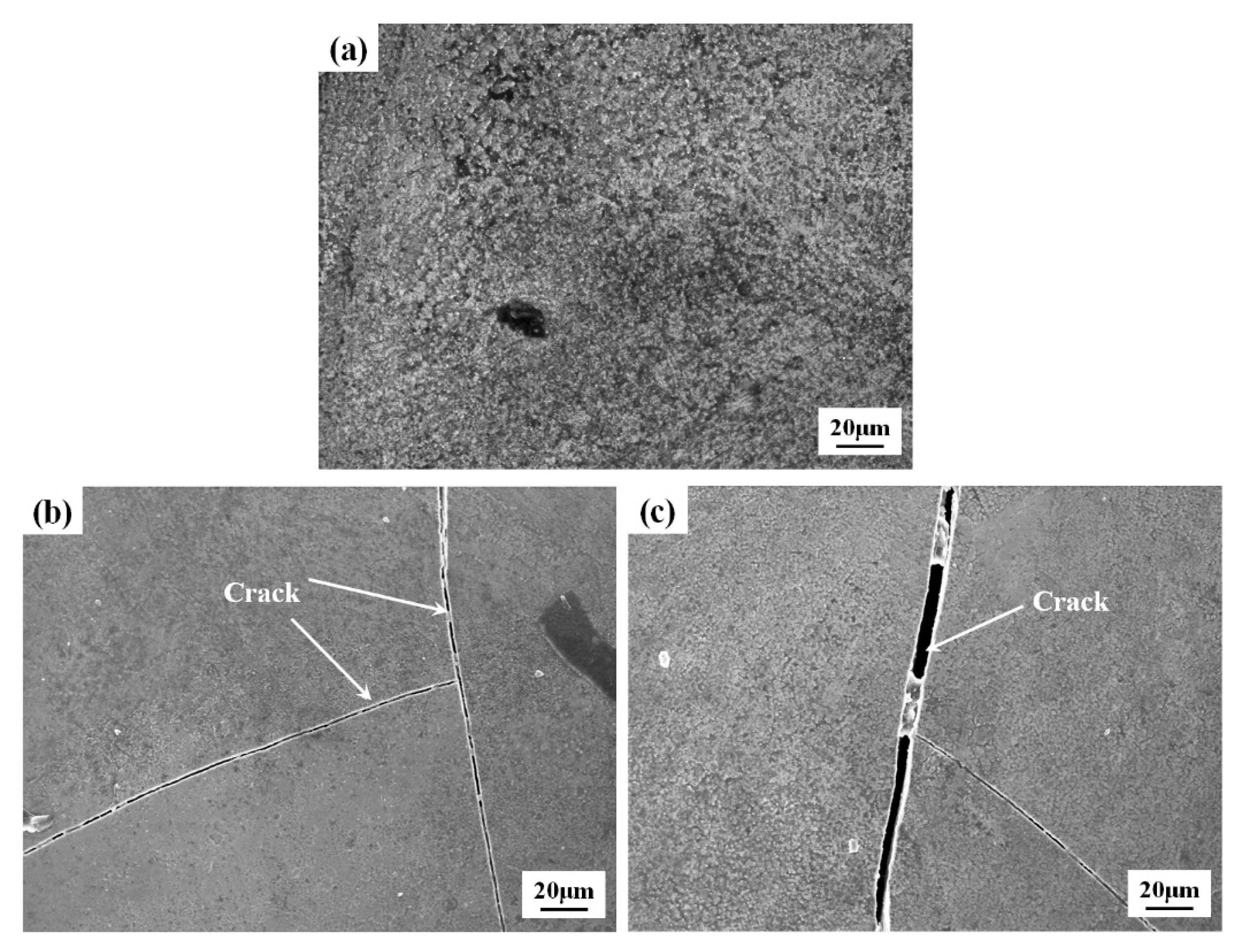 Coatings 15 01329 g005 Coatings 15 01329 g005