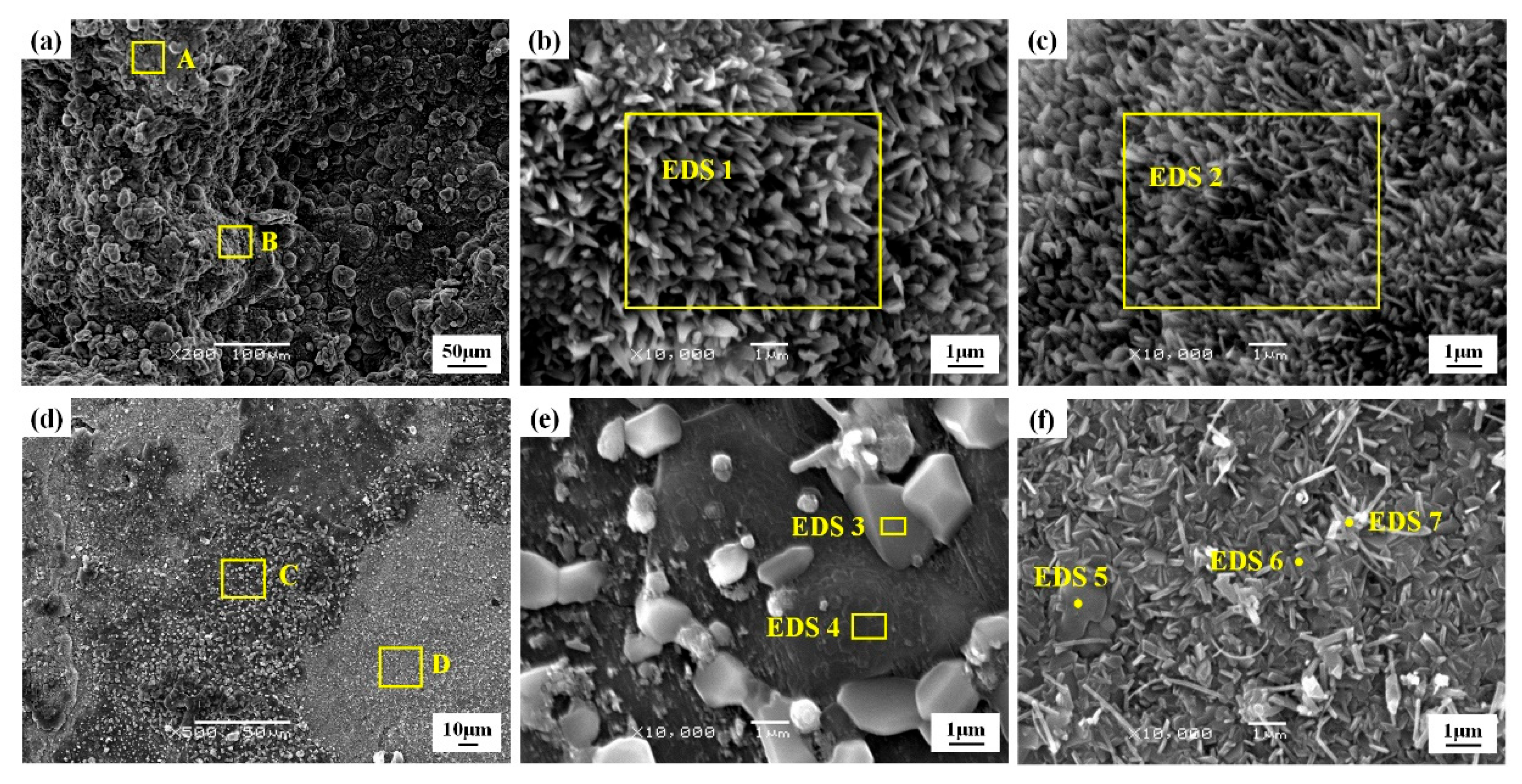 Coatings 15 01329 g015 Coatings 15 01329 g015