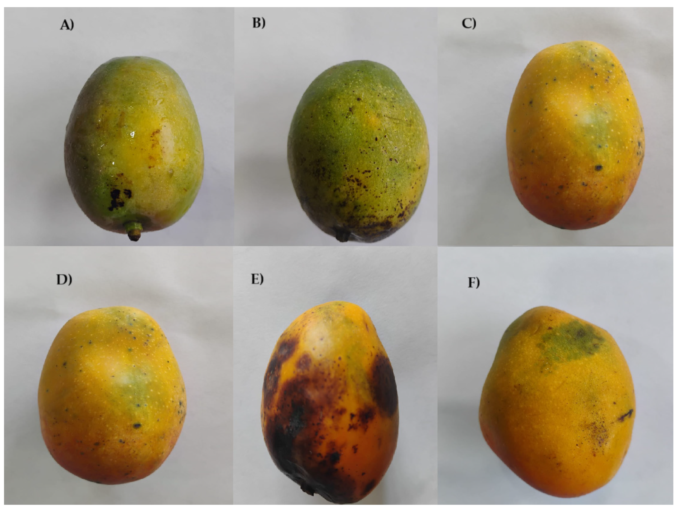 Coatings 15 01333 g002 Coatings 15 01333 g002