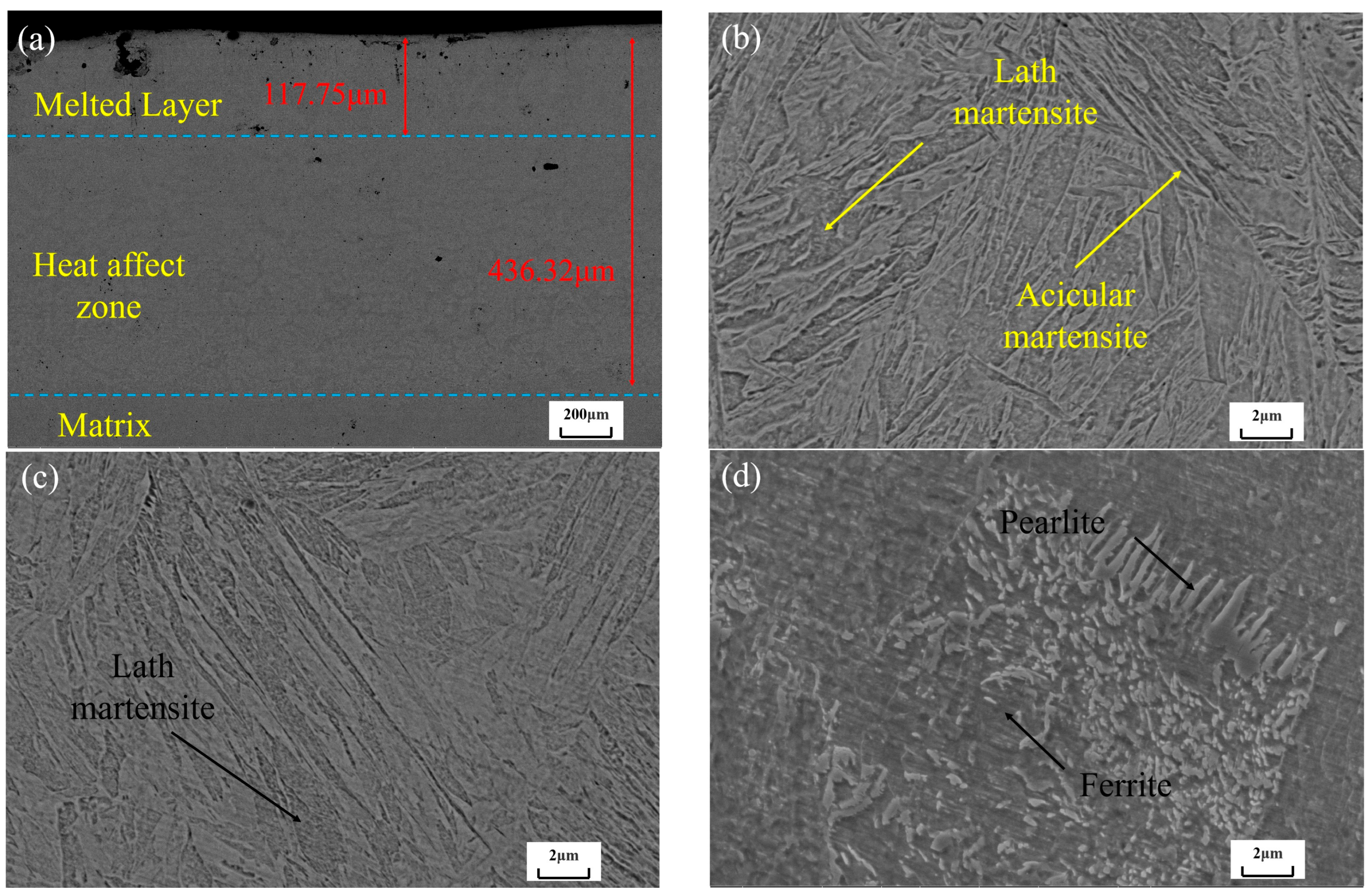 Coatings 15 01335 g003