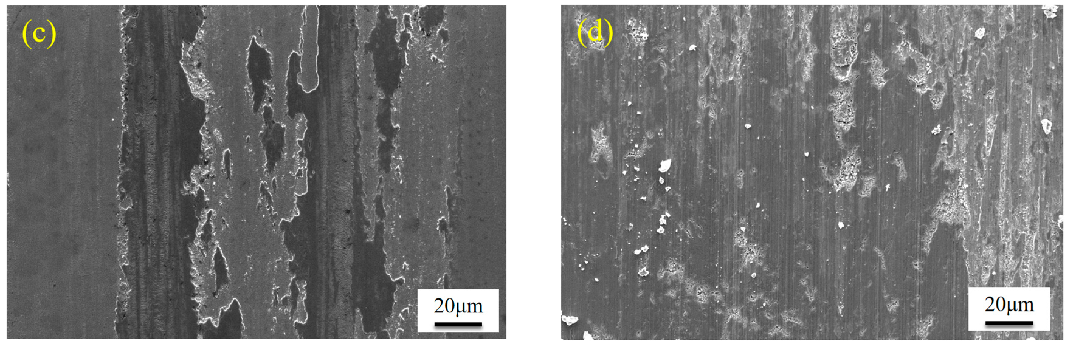 Coatings 15 01335 g004b