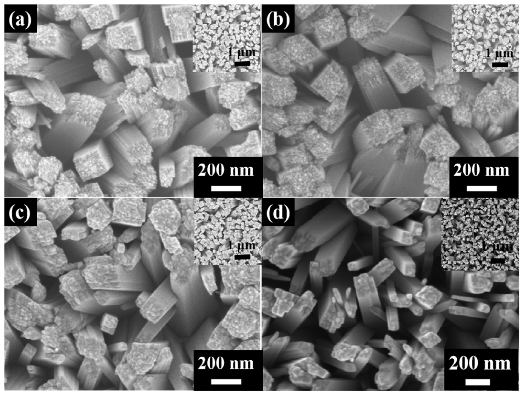 Coatings 15 01338 g001