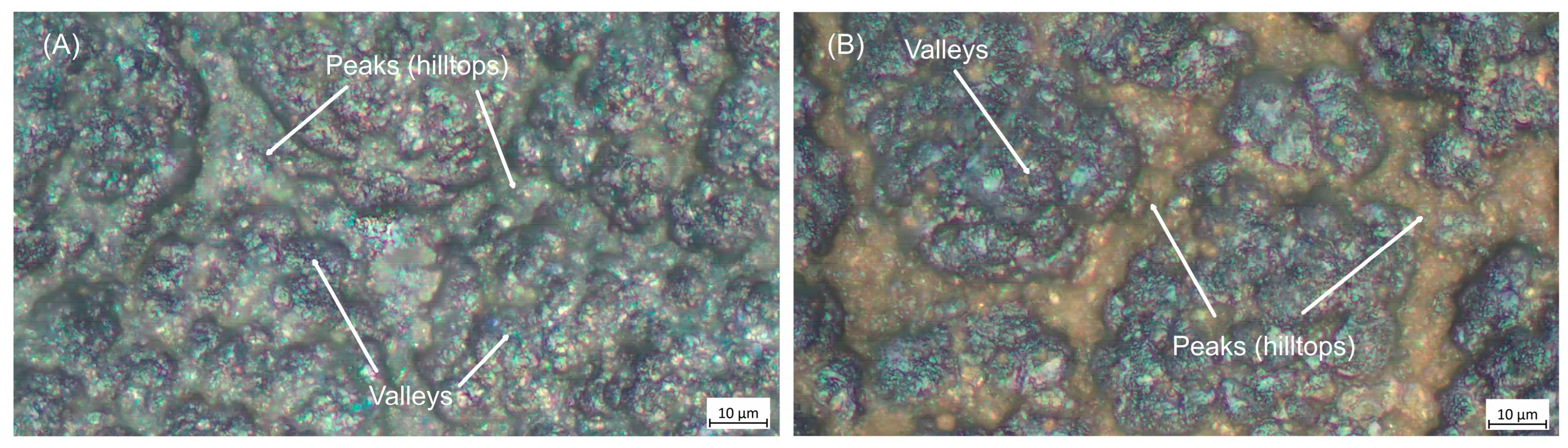 Coatings 15 01341 g002