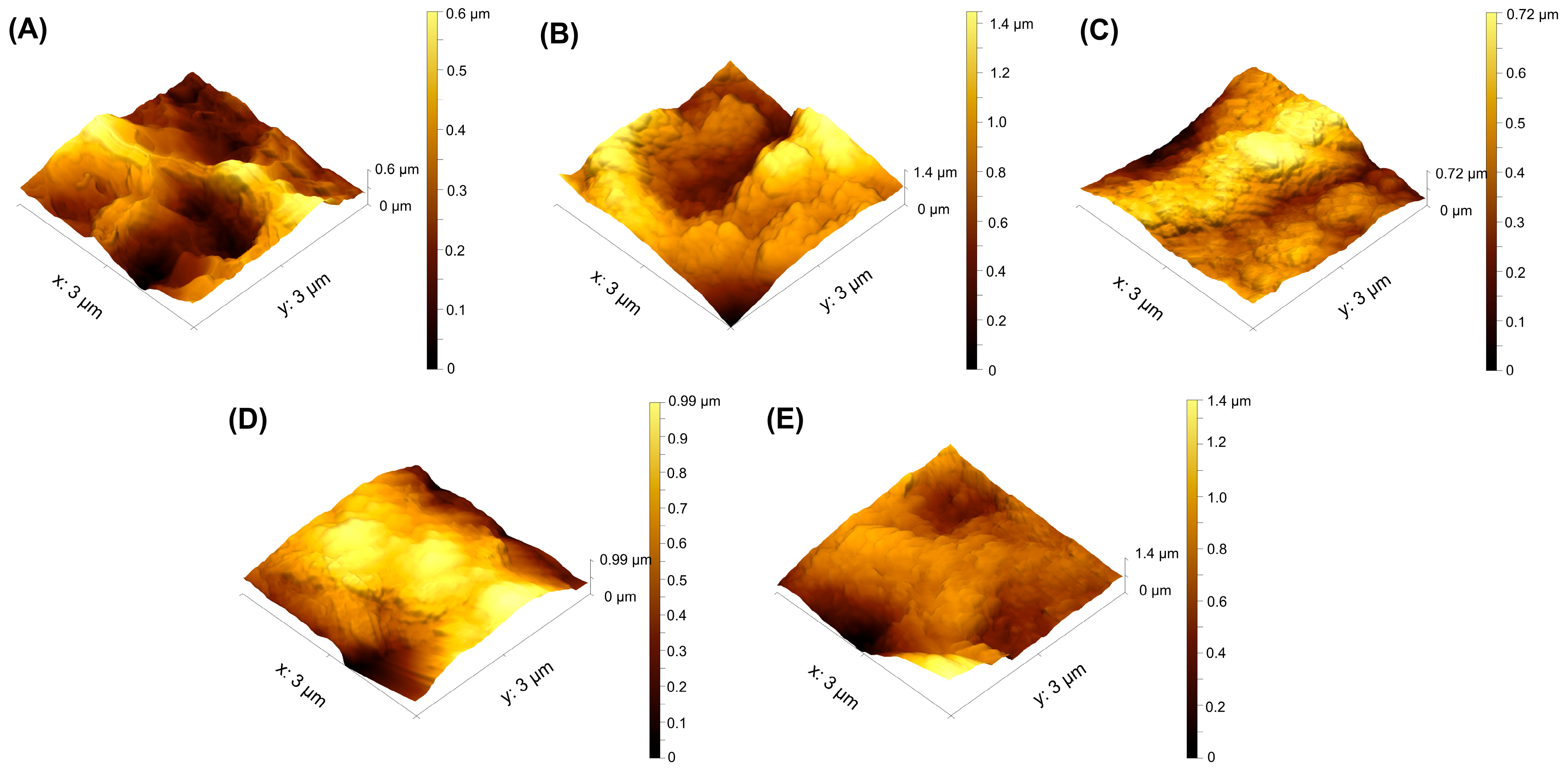 Coatings 15 01341 g005