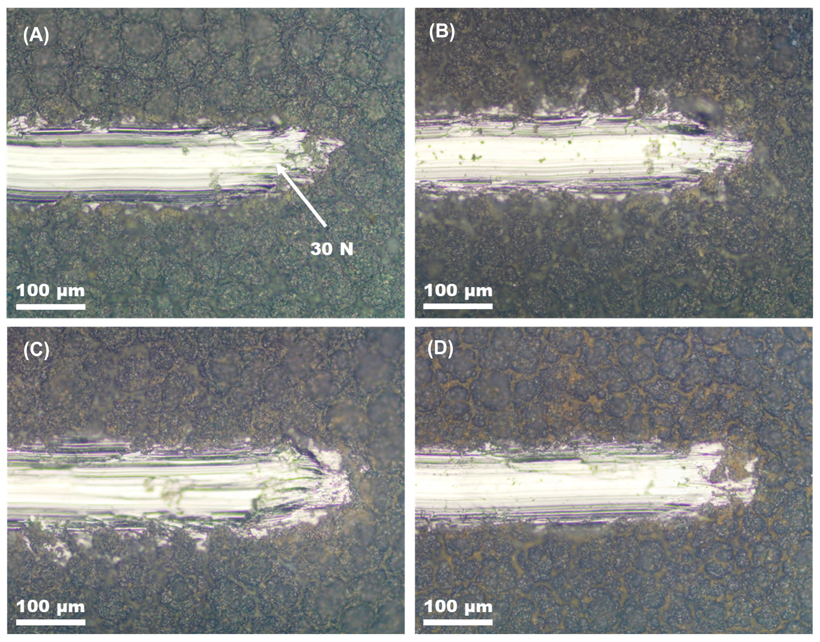 Coatings 15 01341 g006