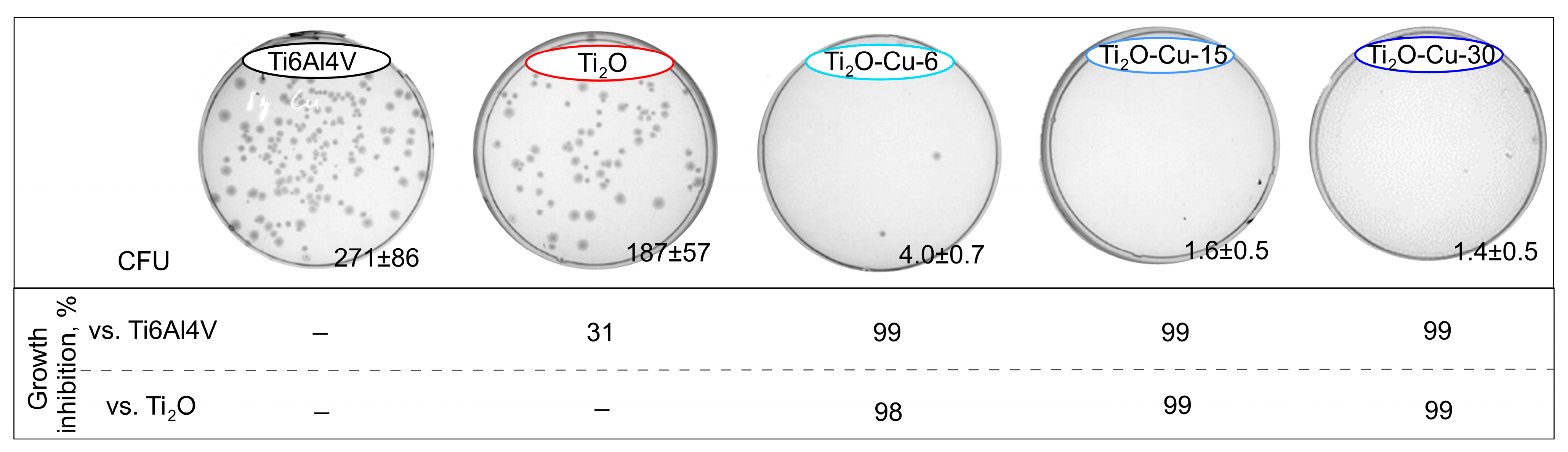 Coatings 15 01341 g009
