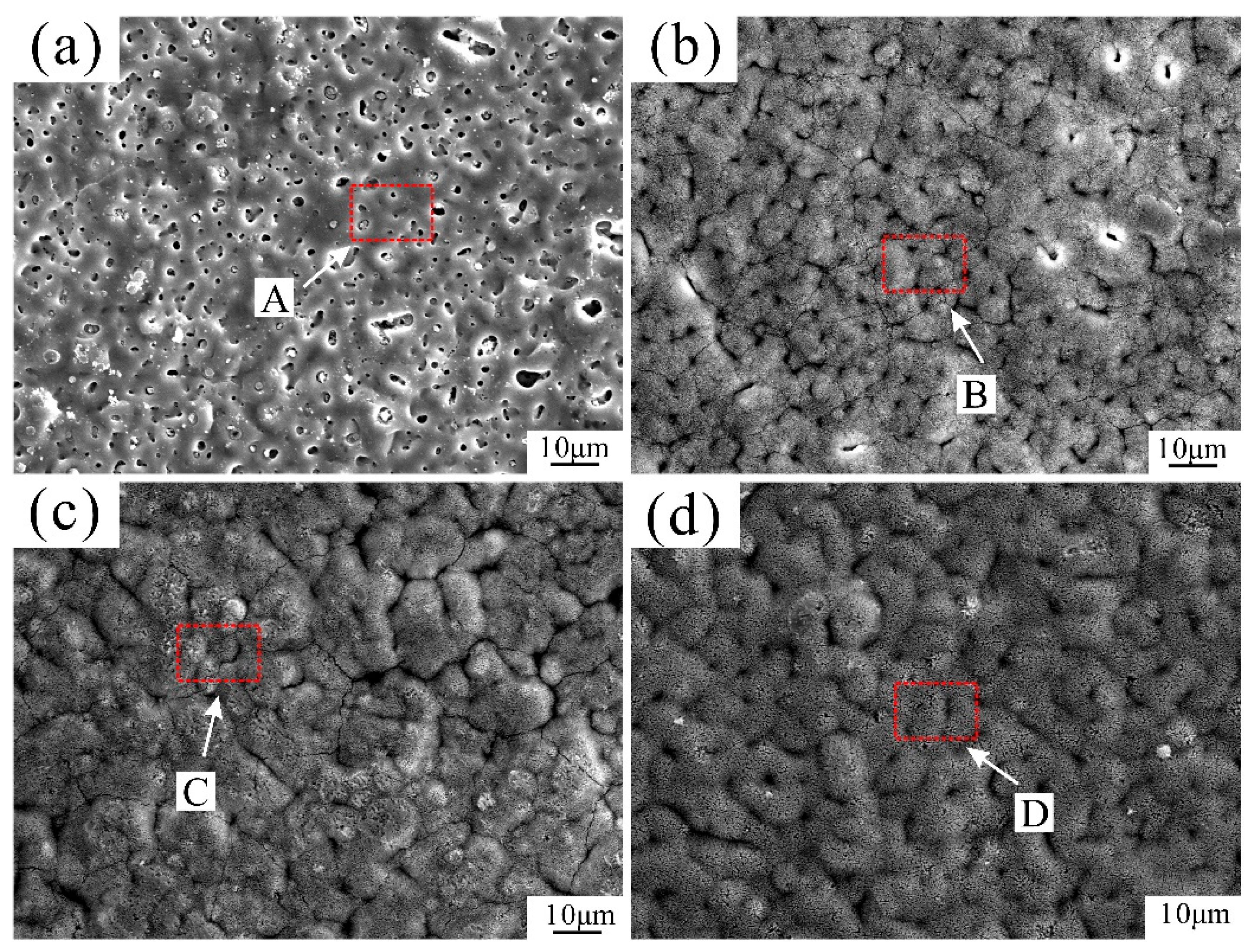 Coatings 15 01344 g002