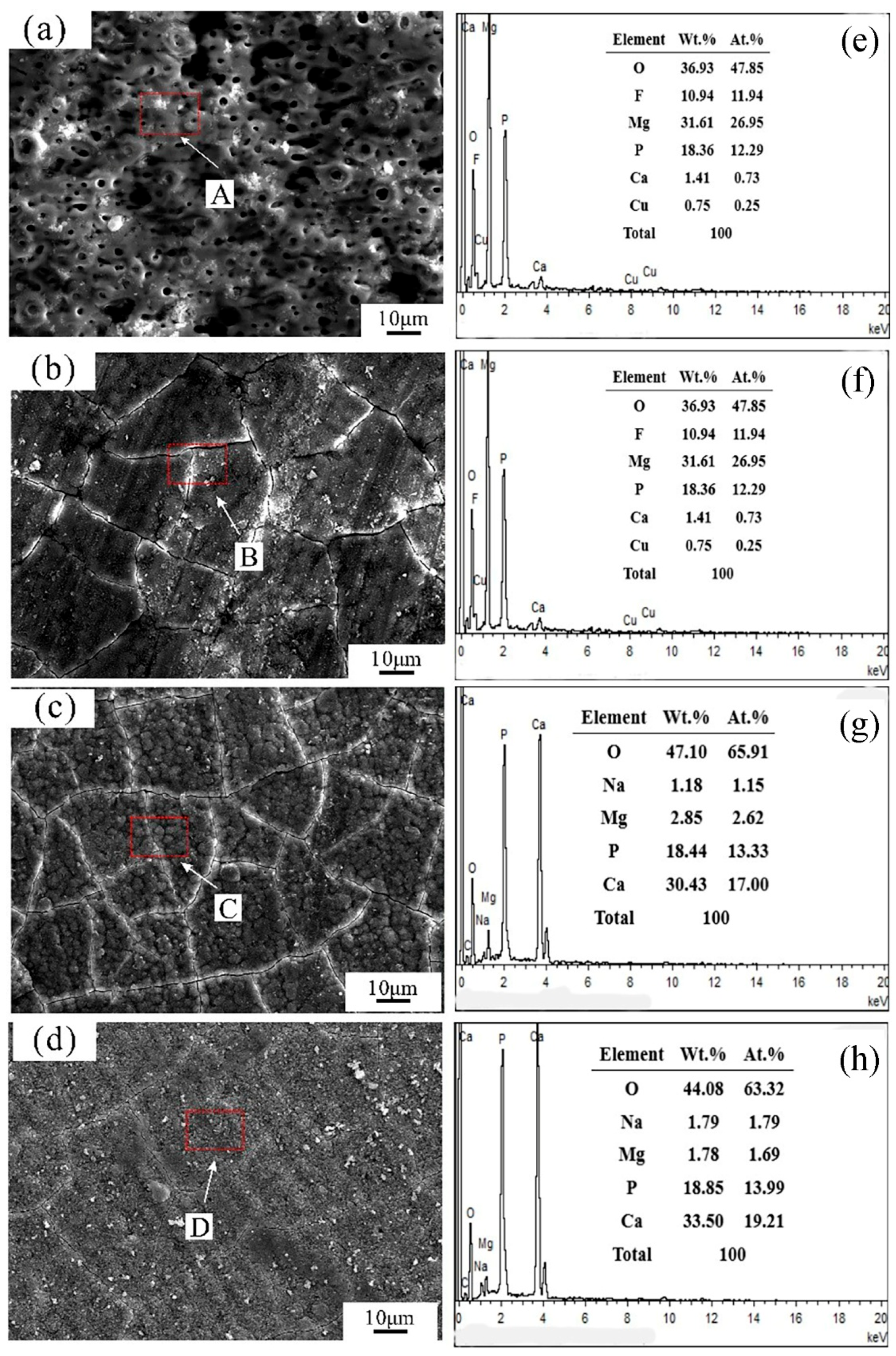 Coatings 15 01344 g007