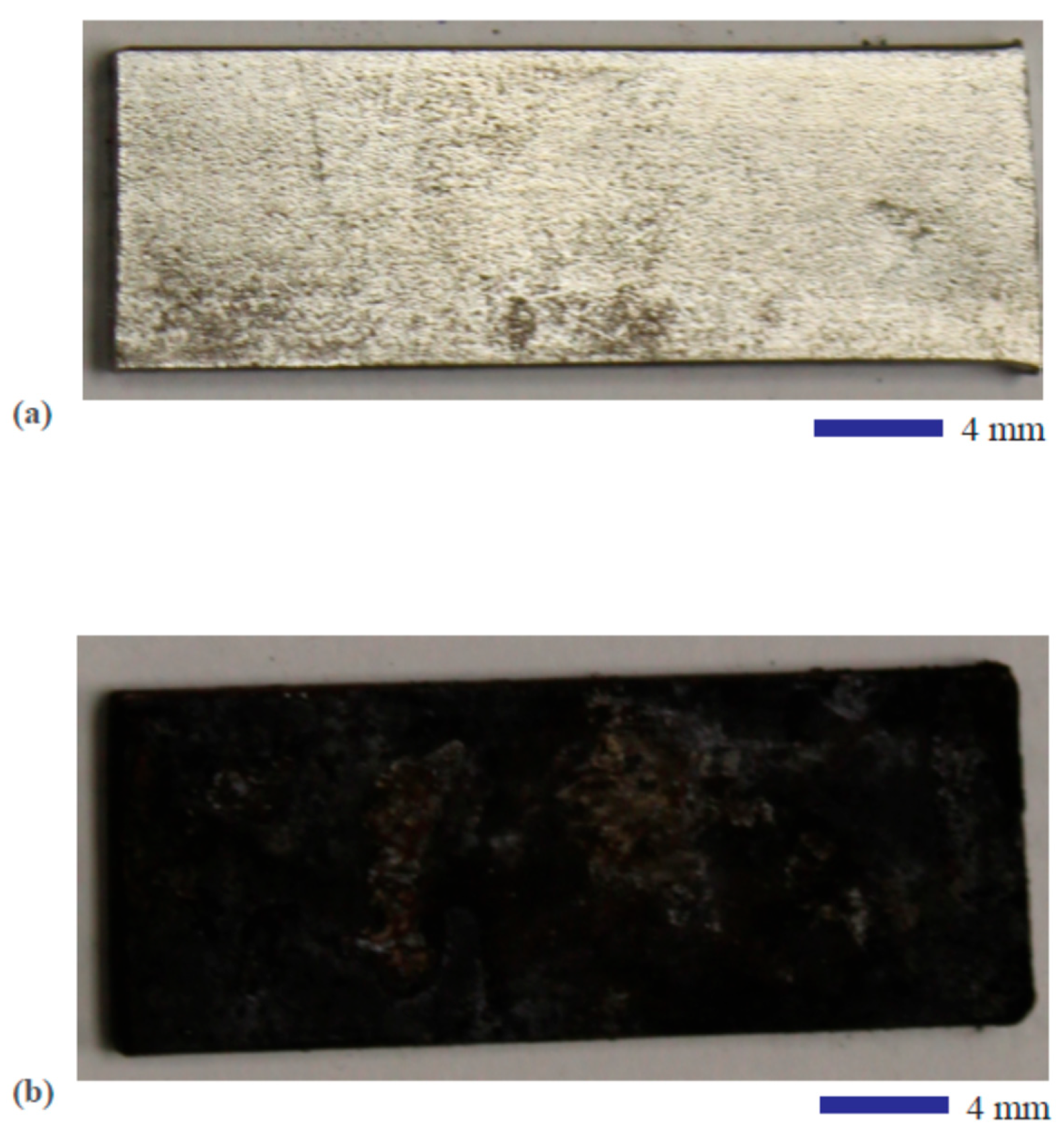 Coatings 15 01346 g001