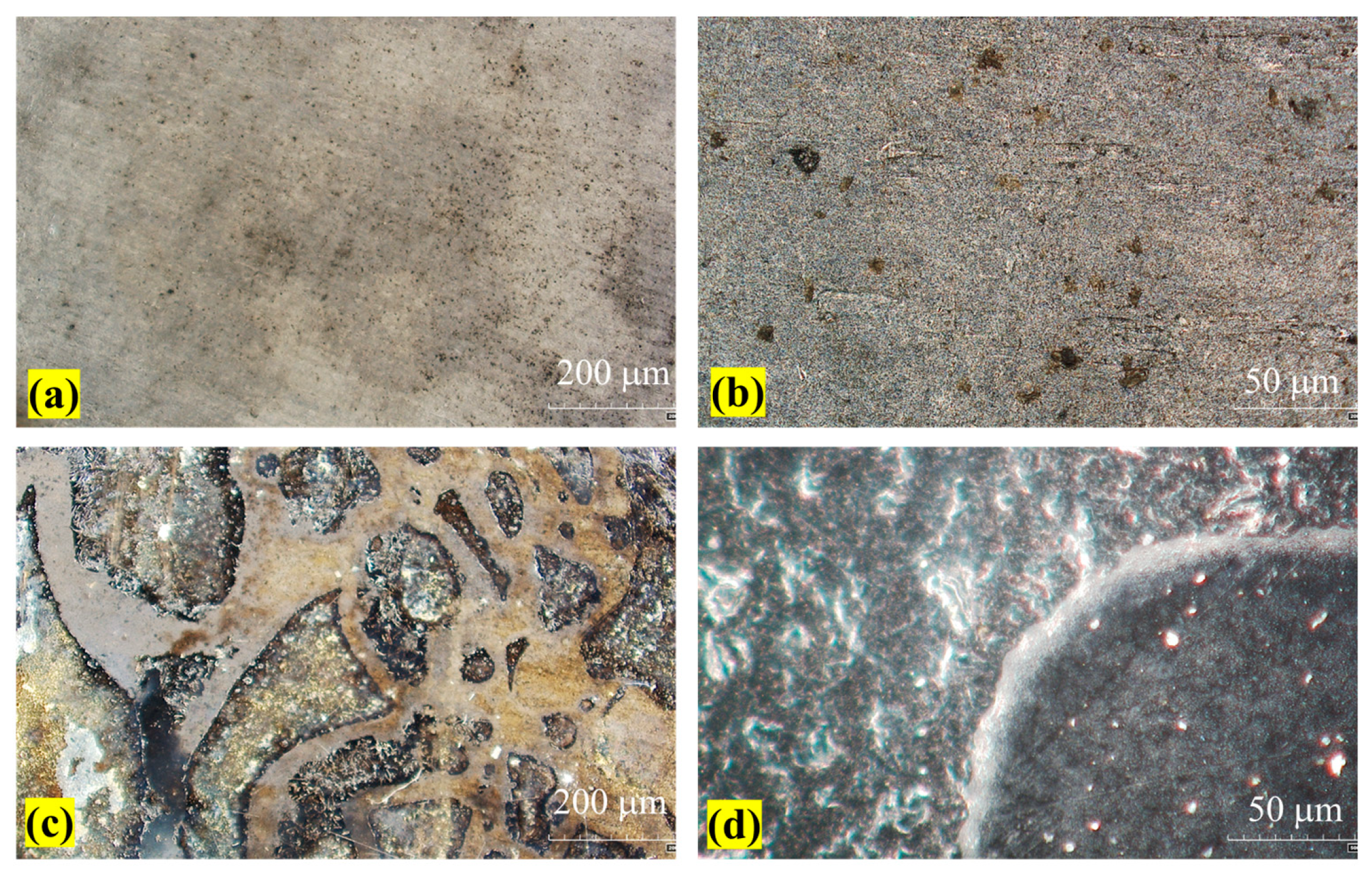 Coatings 15 01346 g002