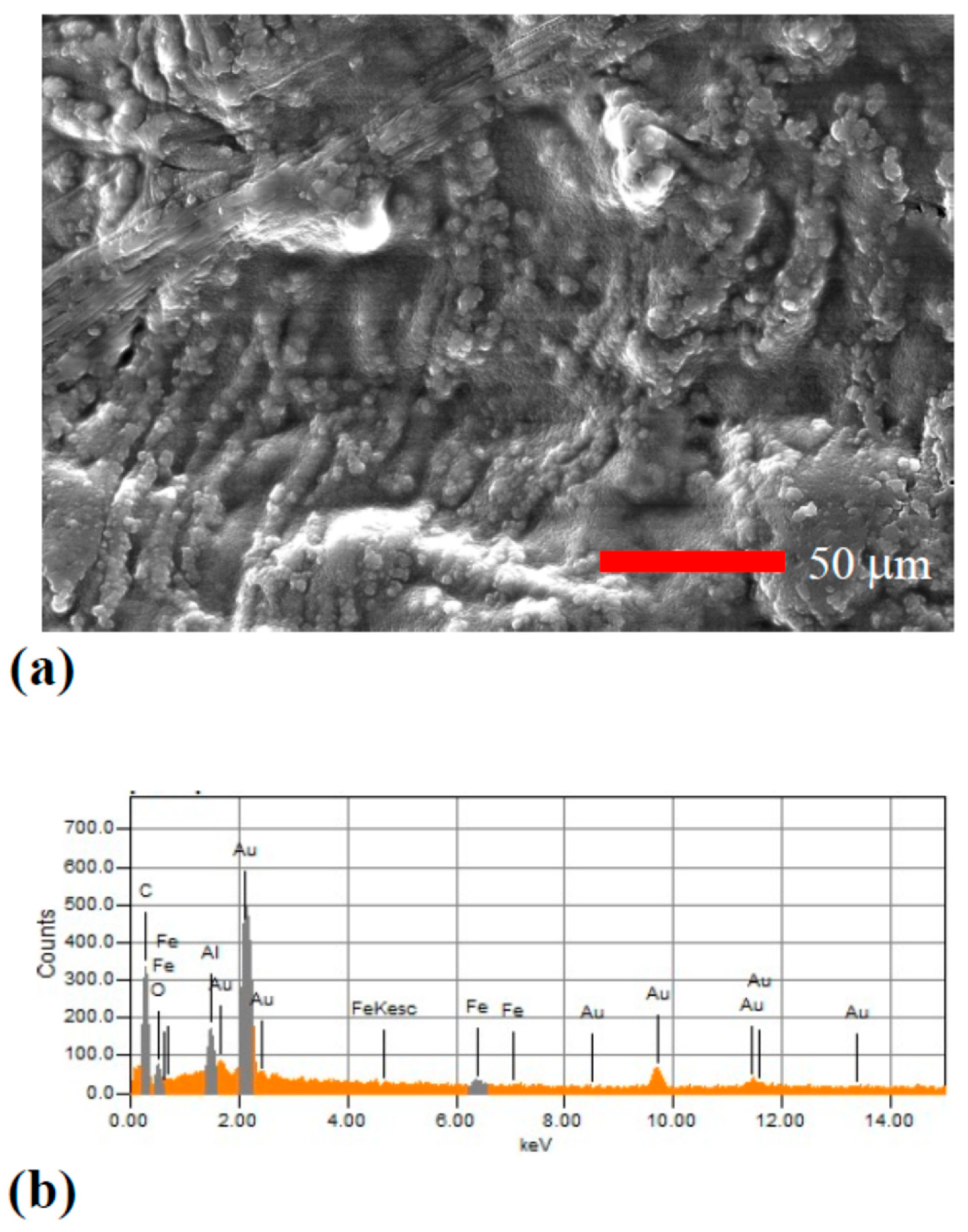 Coatings 15 01346 g003