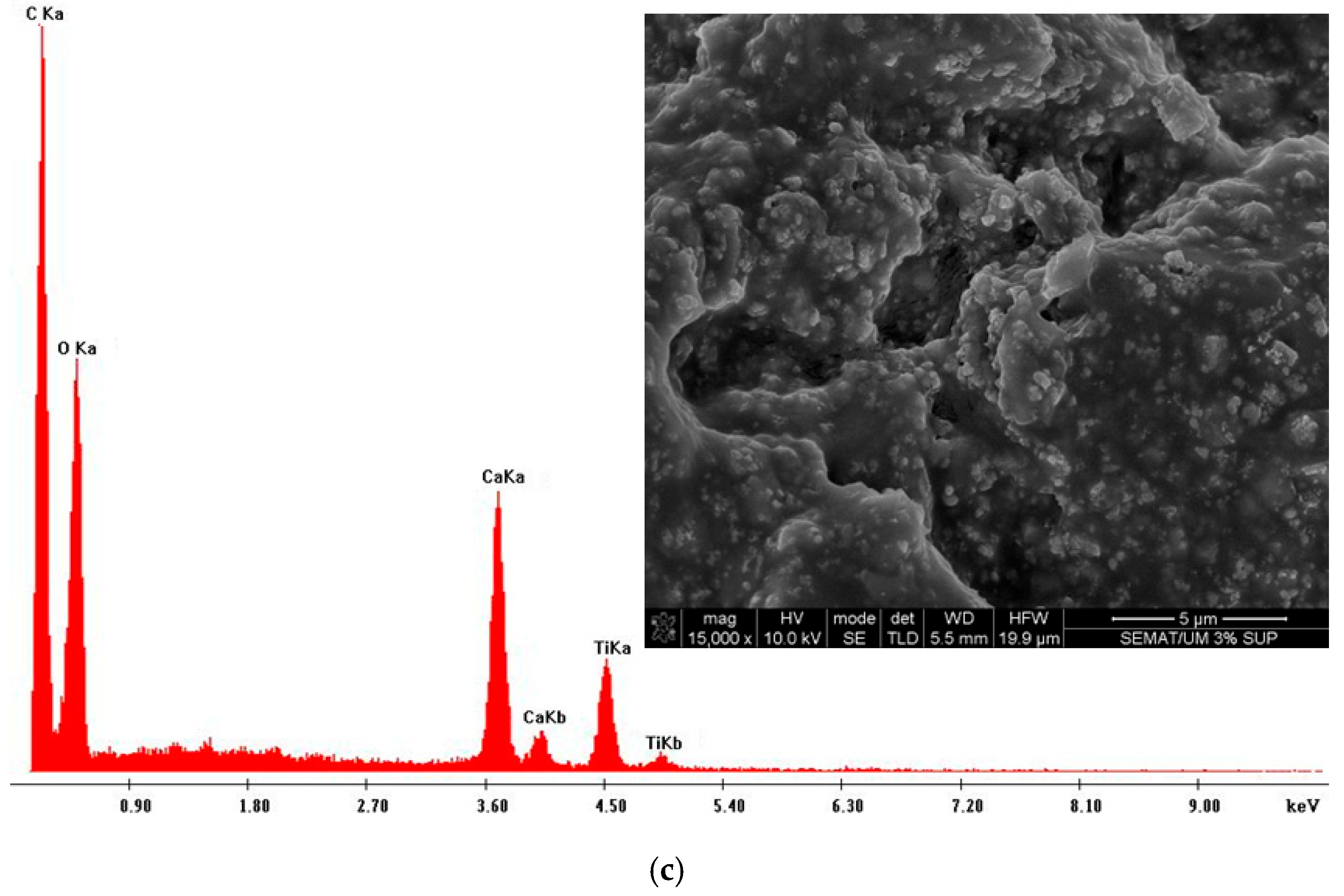 Coatings 15 01349 g012b