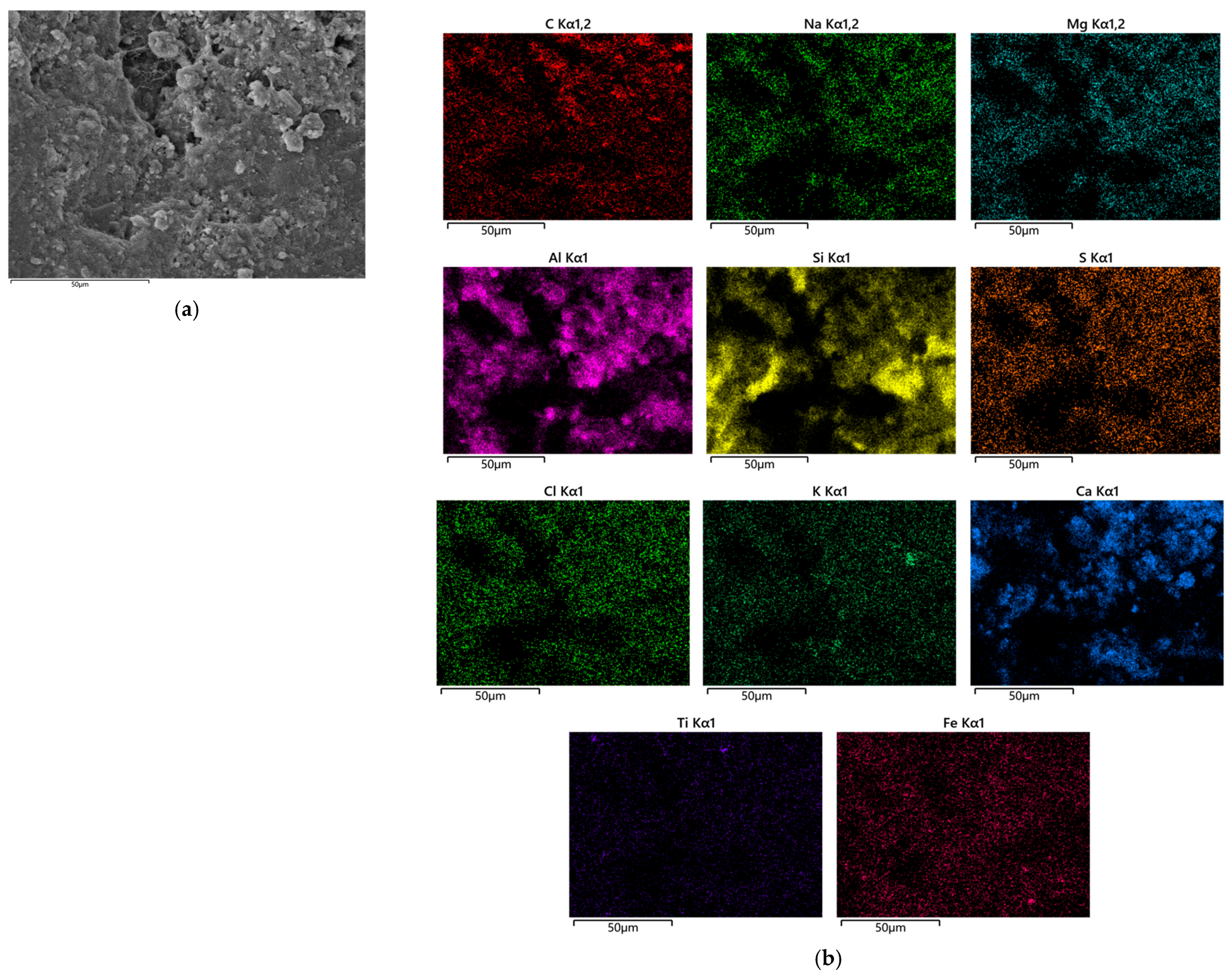 Coatings 15 01351 g010
